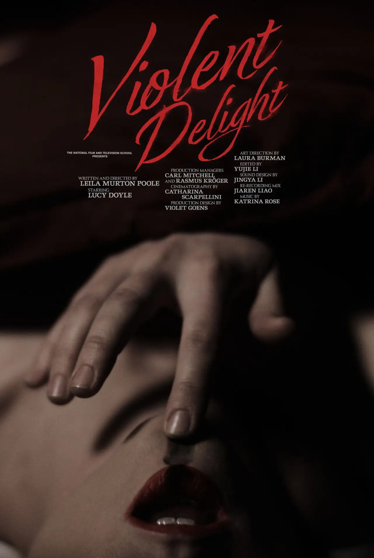 Постер до фільму "Violent Delight"