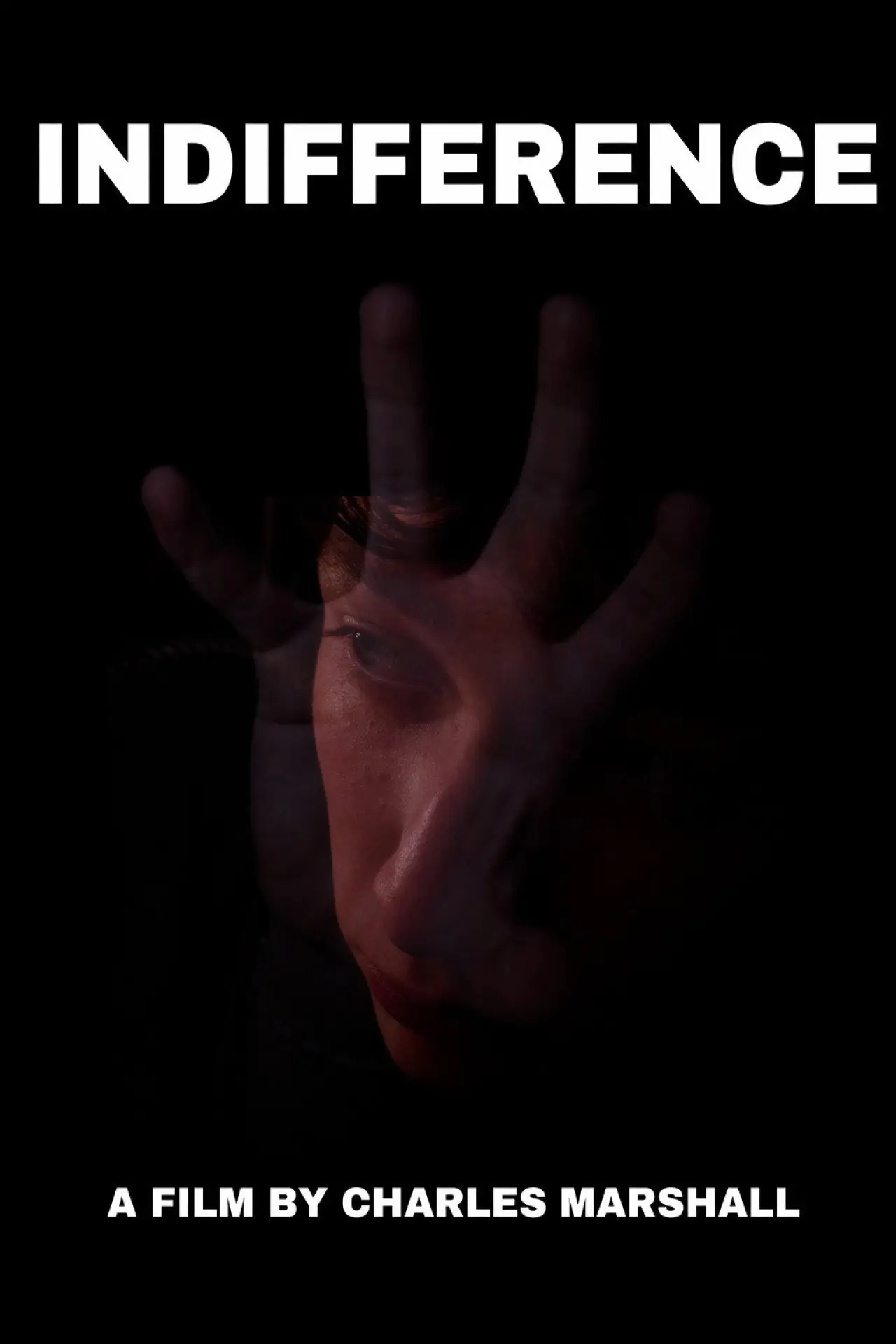 Постер до фільму "Indifference"