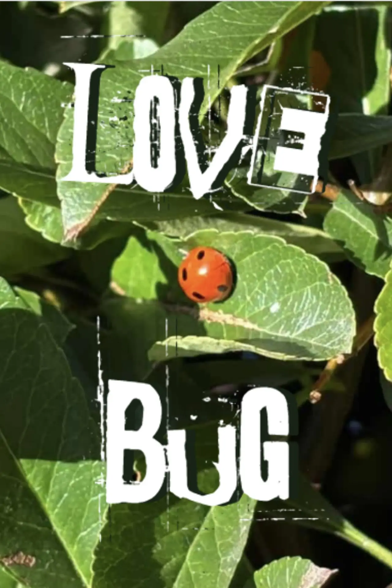 Постер до фільму "Lovebug"