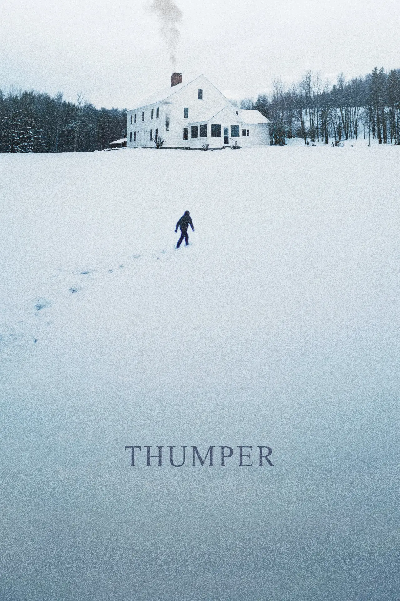 Постер до фільму "Thumper"