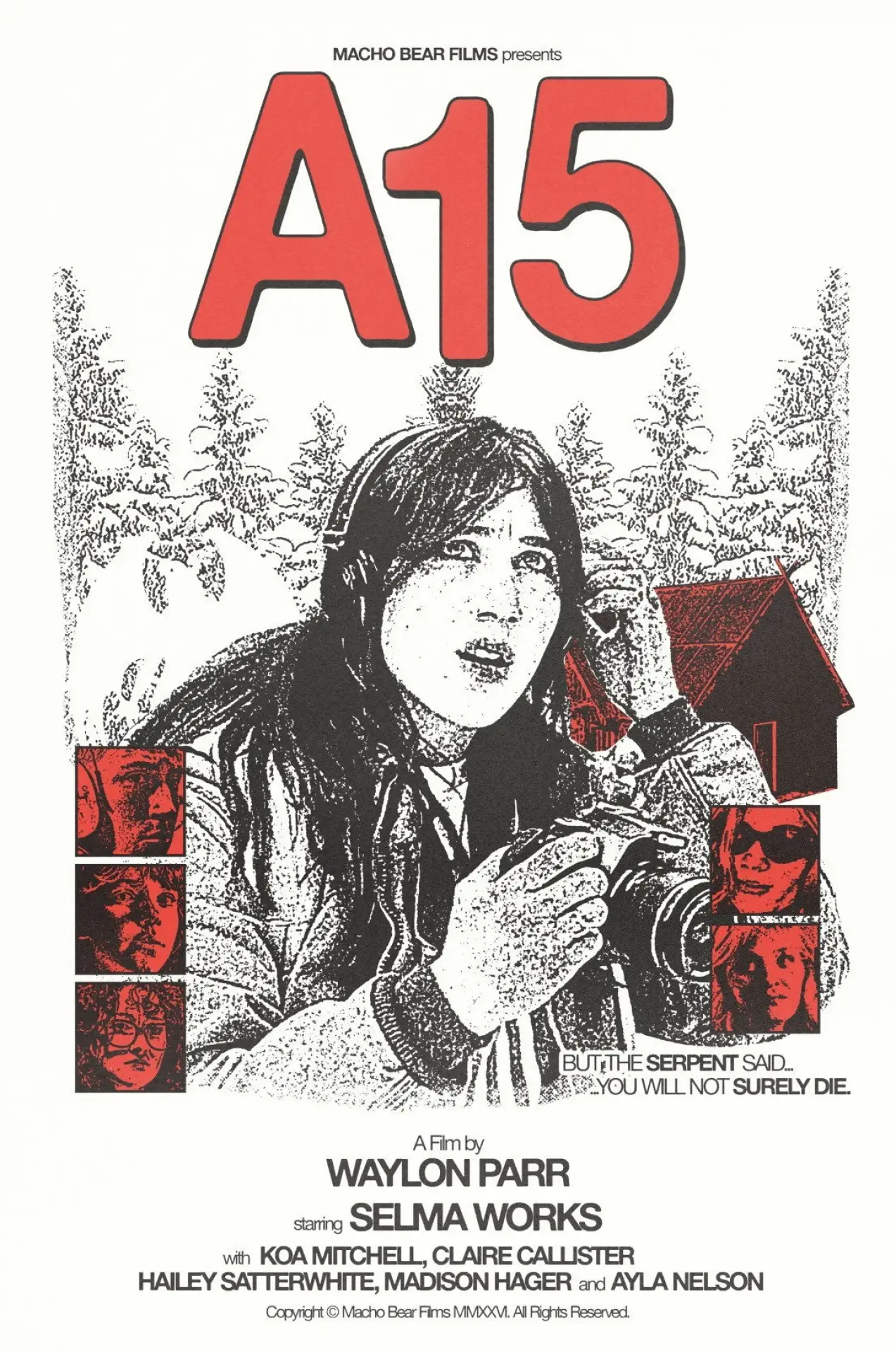 Постер до фільму "A15"