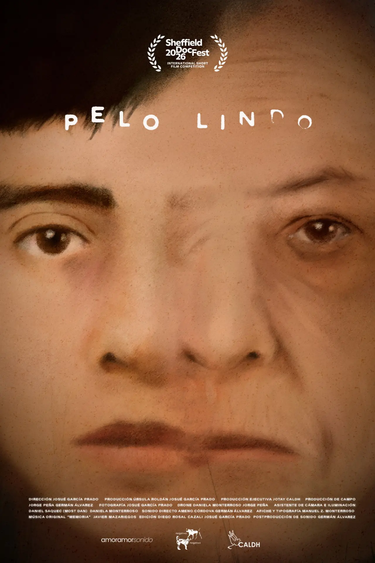 Постер до фільму "Pelo Lindo"