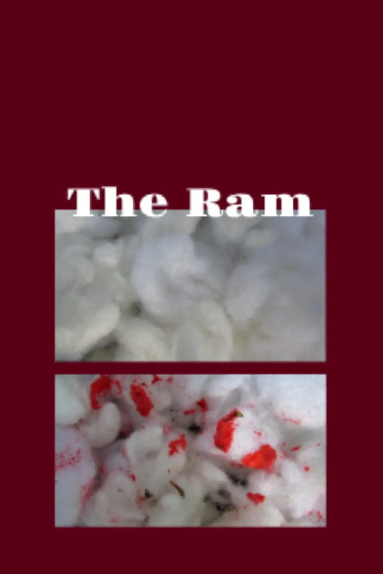 Постер до фільму "The Ram"