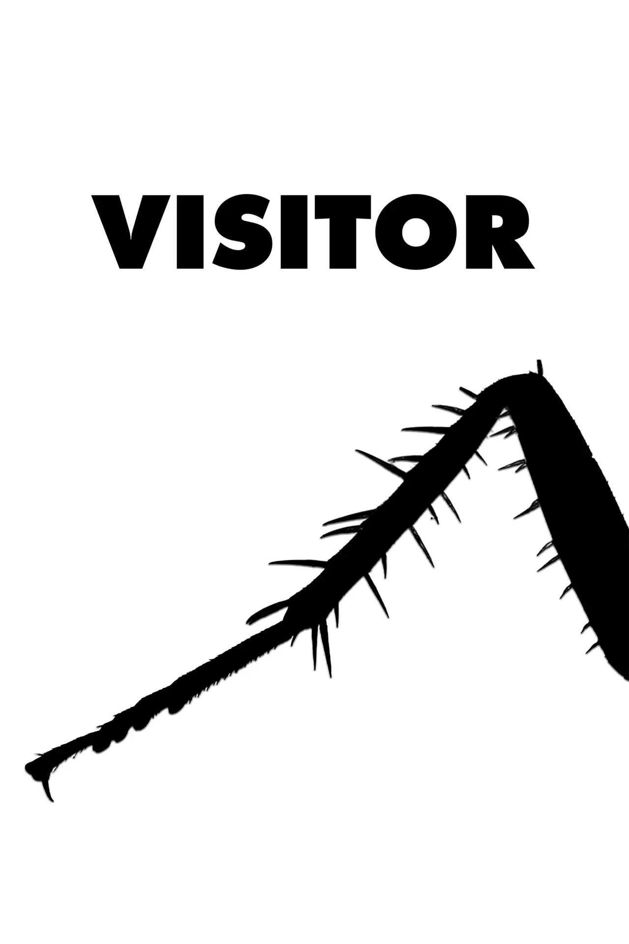 Постер до фільму "Visitor"