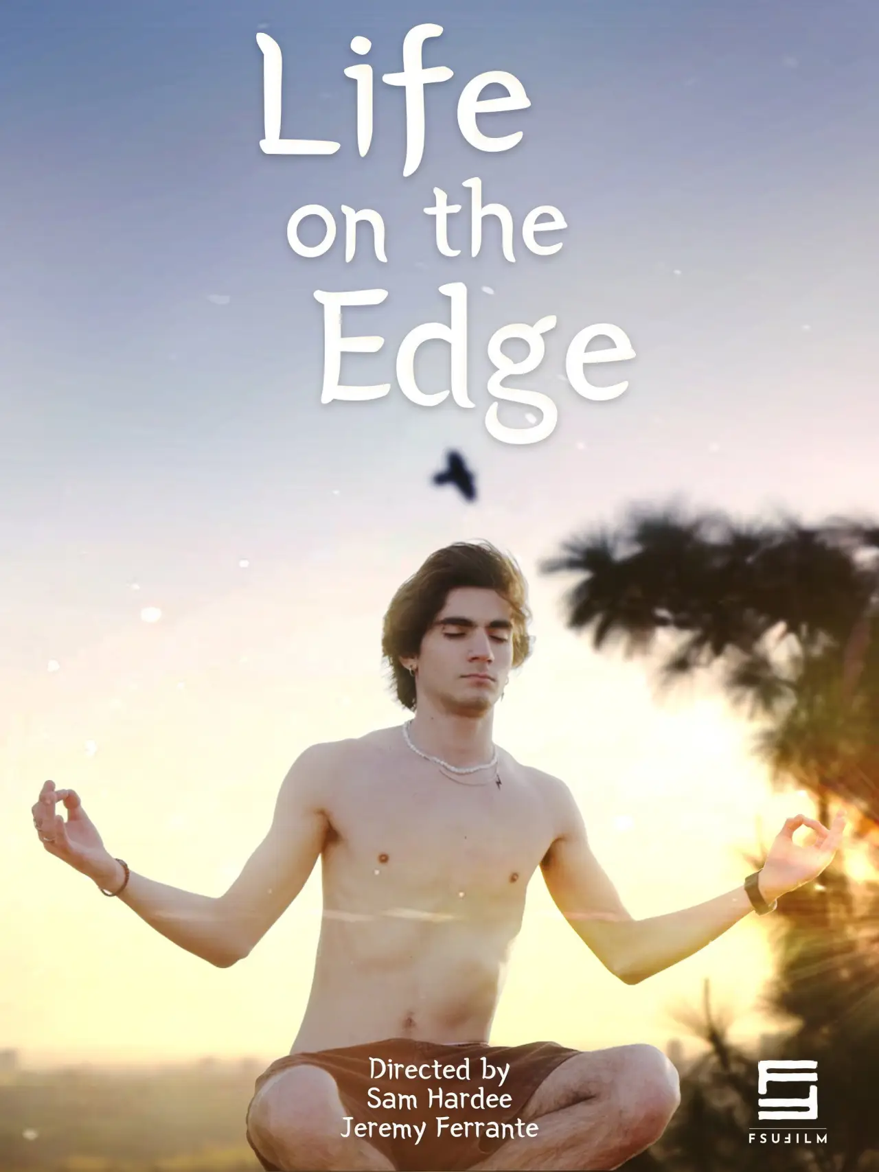Постер до фільму "Life on the Edge"