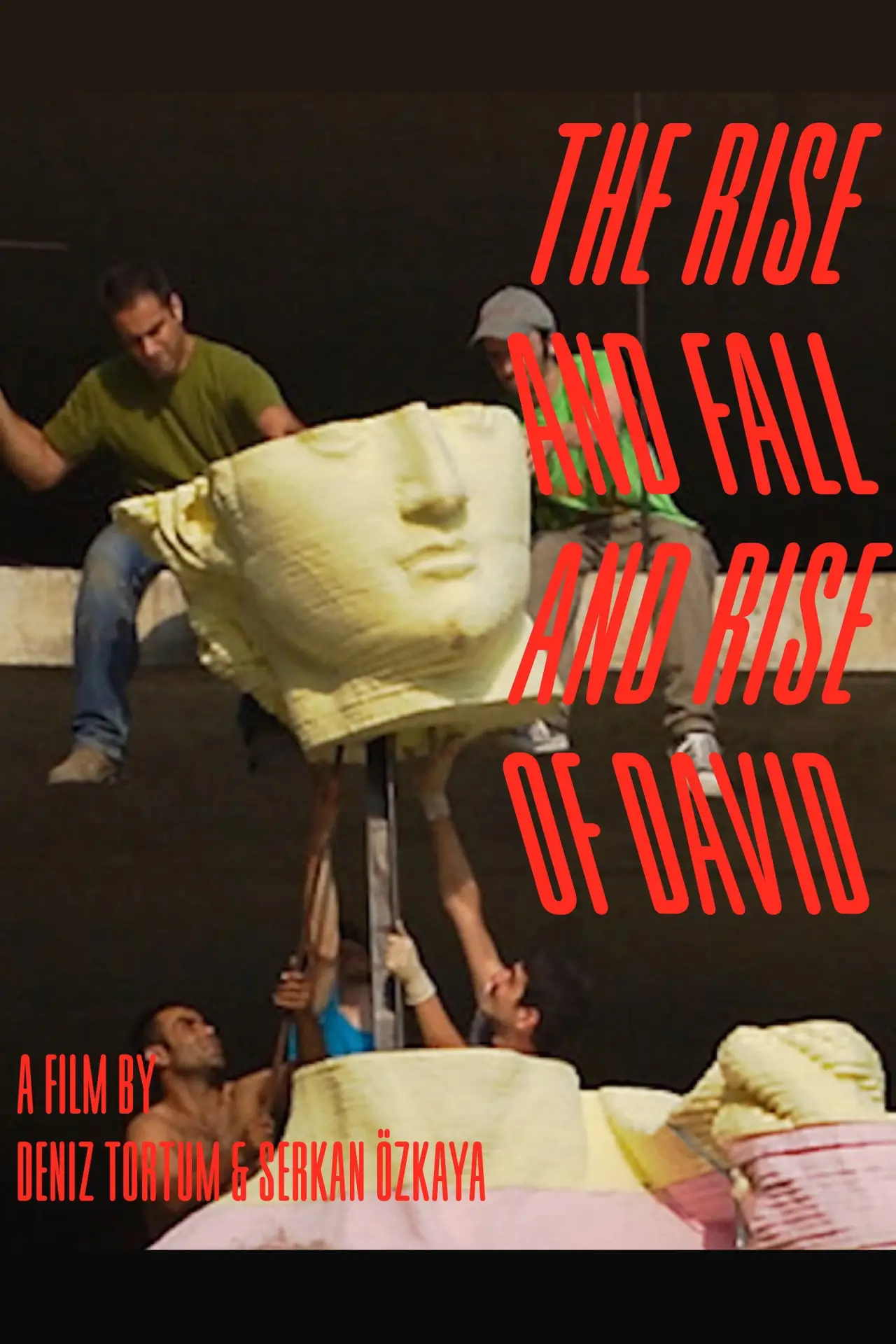 Постер до фільму "The Rise and Fall and Rise of David"