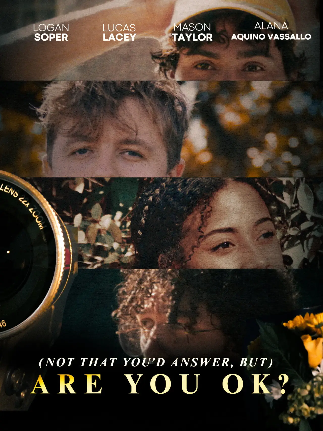 Постер до фільму "(Not That You