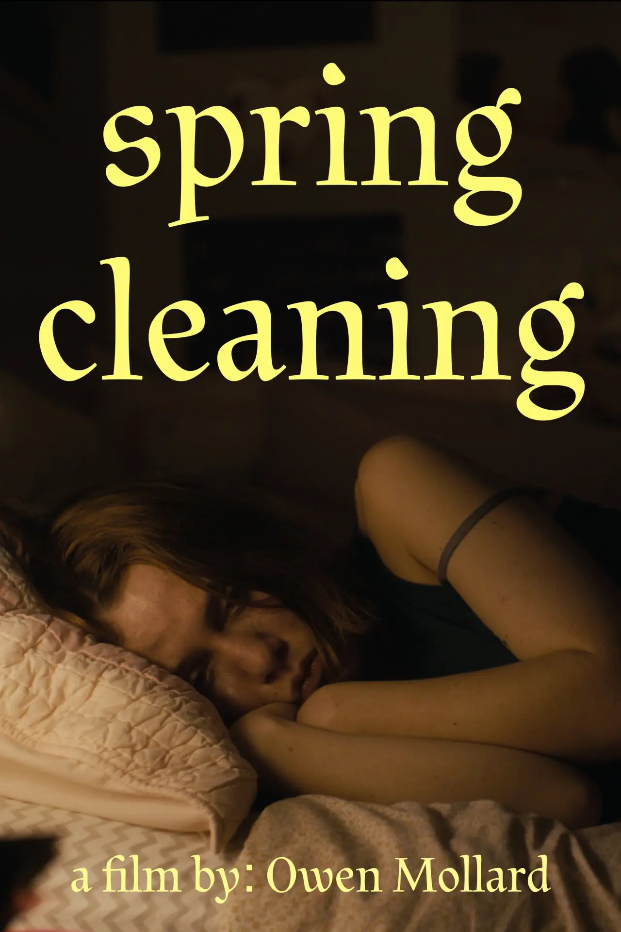 Постер до фільму "Spring Cleaning"