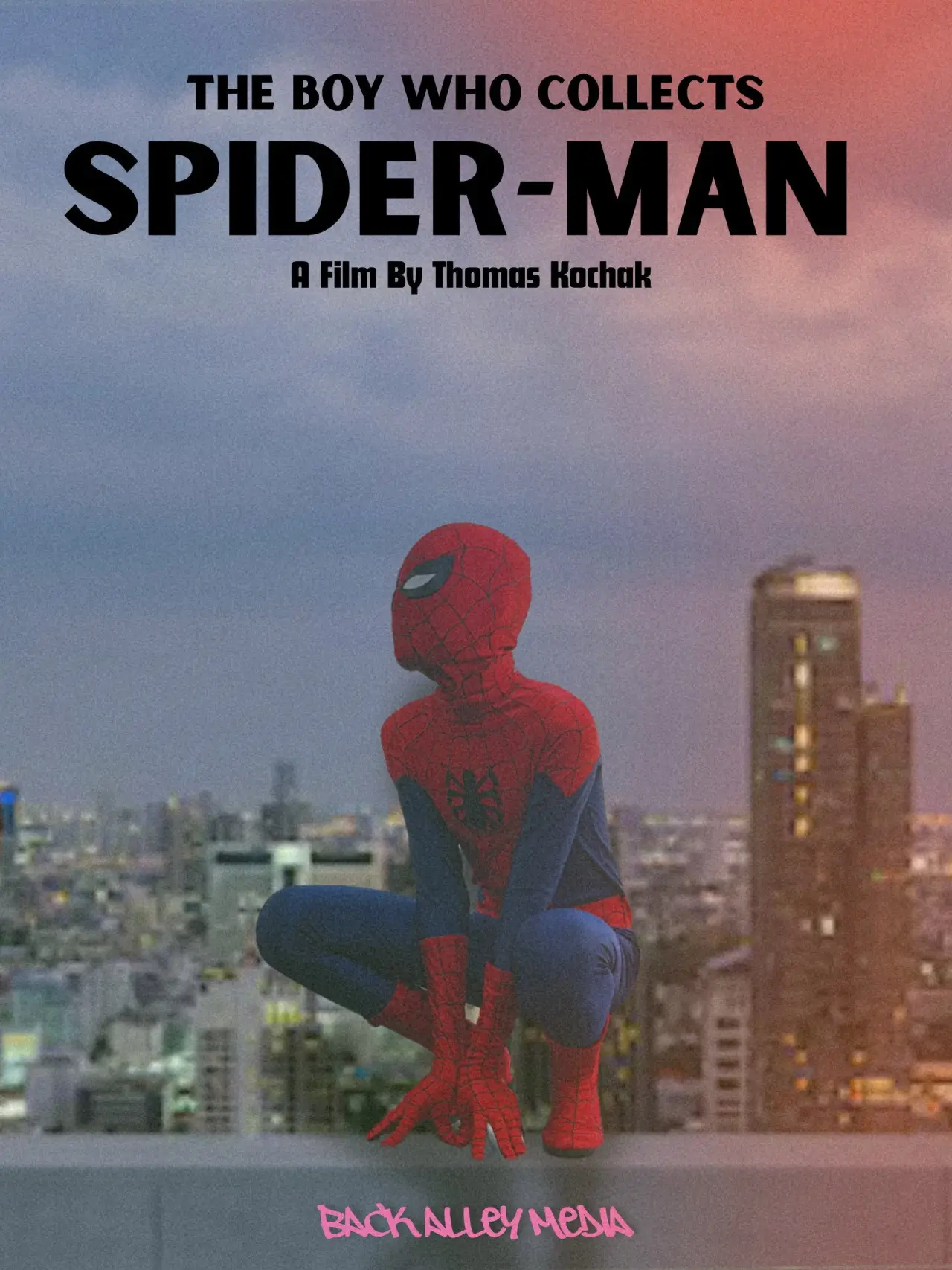 Постер до фільму "The Boy Who Collects Spider-Man"