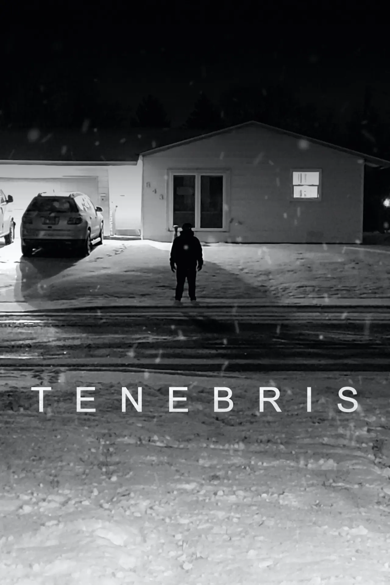 Постер до фільму "Tenebris"