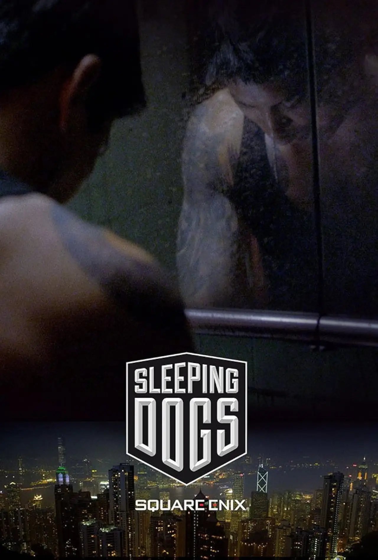 Постер до фільму "Sleeping Dogs"