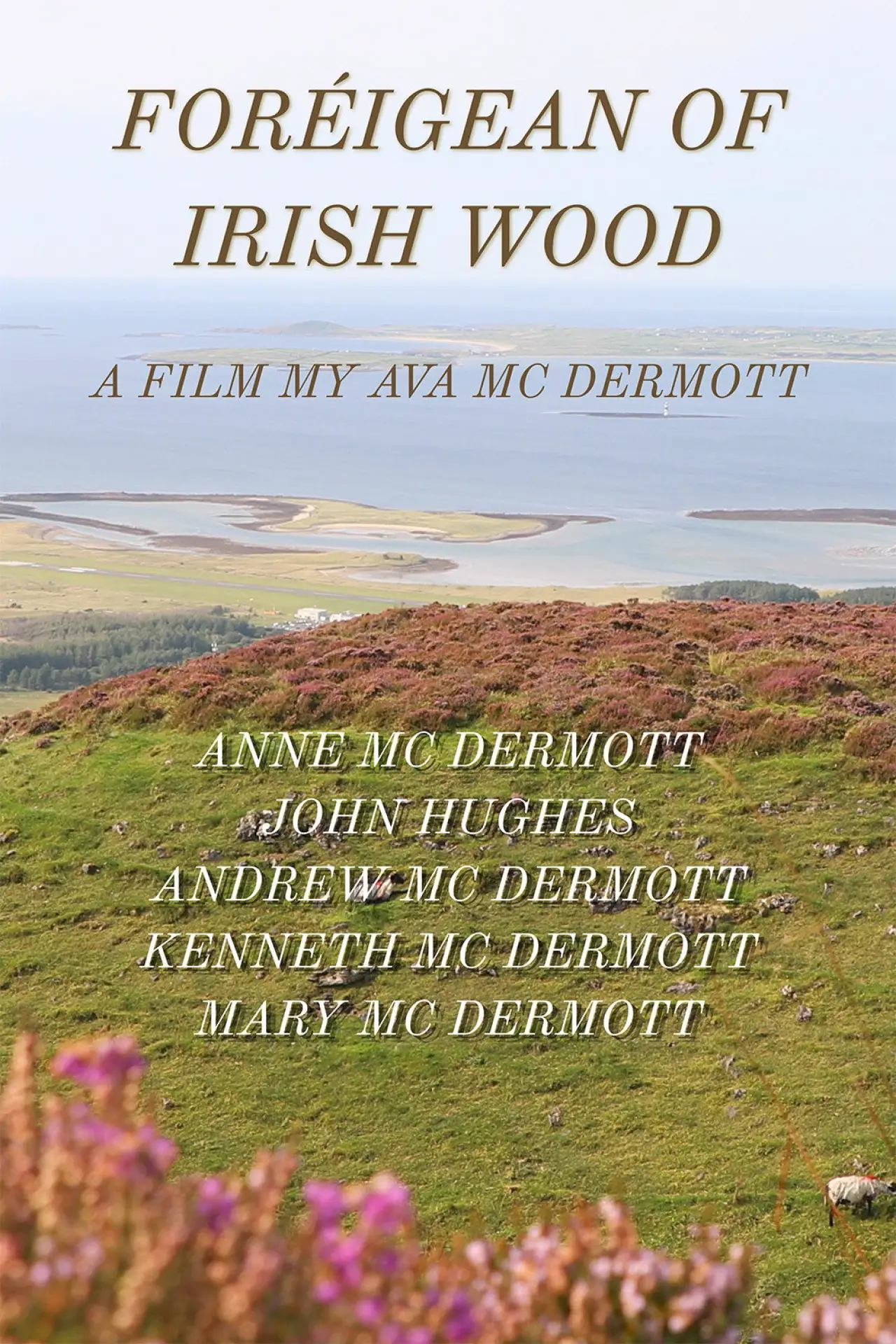 Постер до фільму "Foreigean of the Irish Woods"