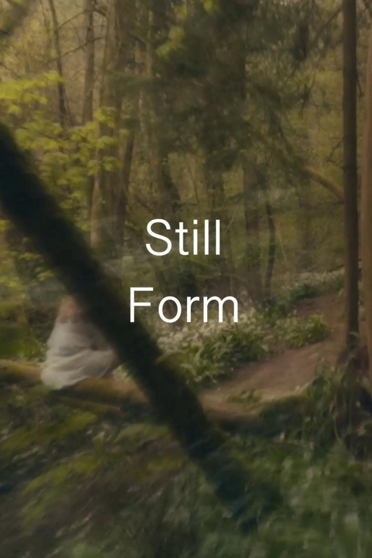 Постер до фільму "Still Form"