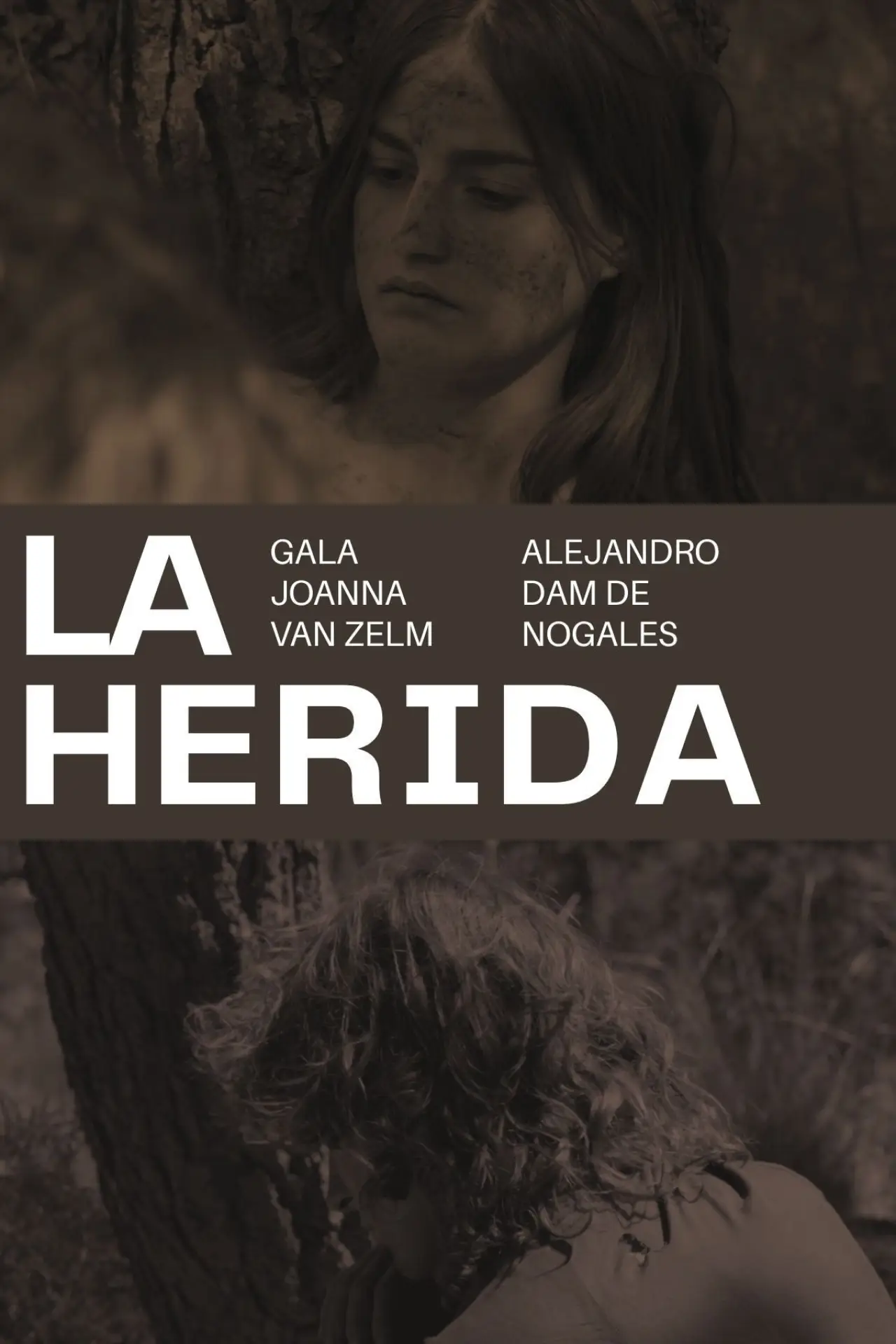 Постер до фільму "La herida"