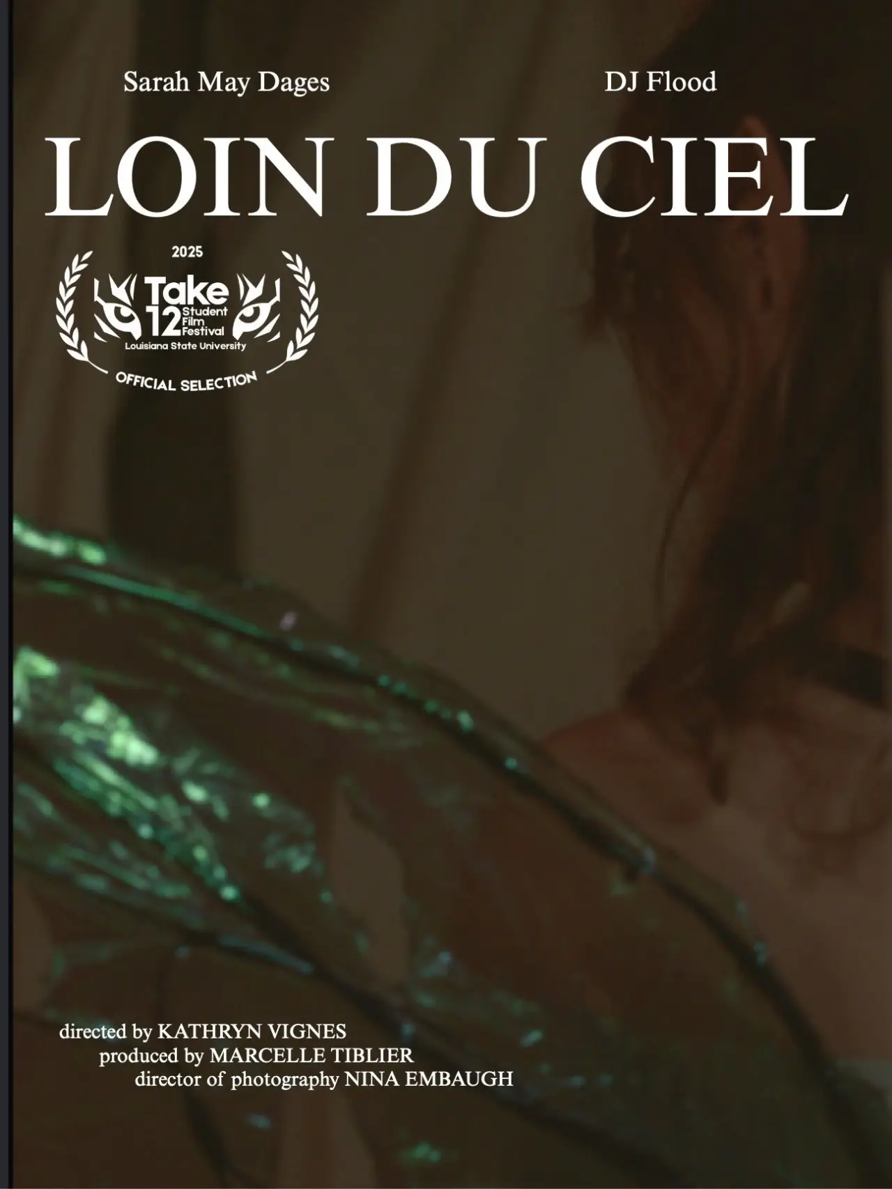 Постер до фільму "Loin Du Ciel"
