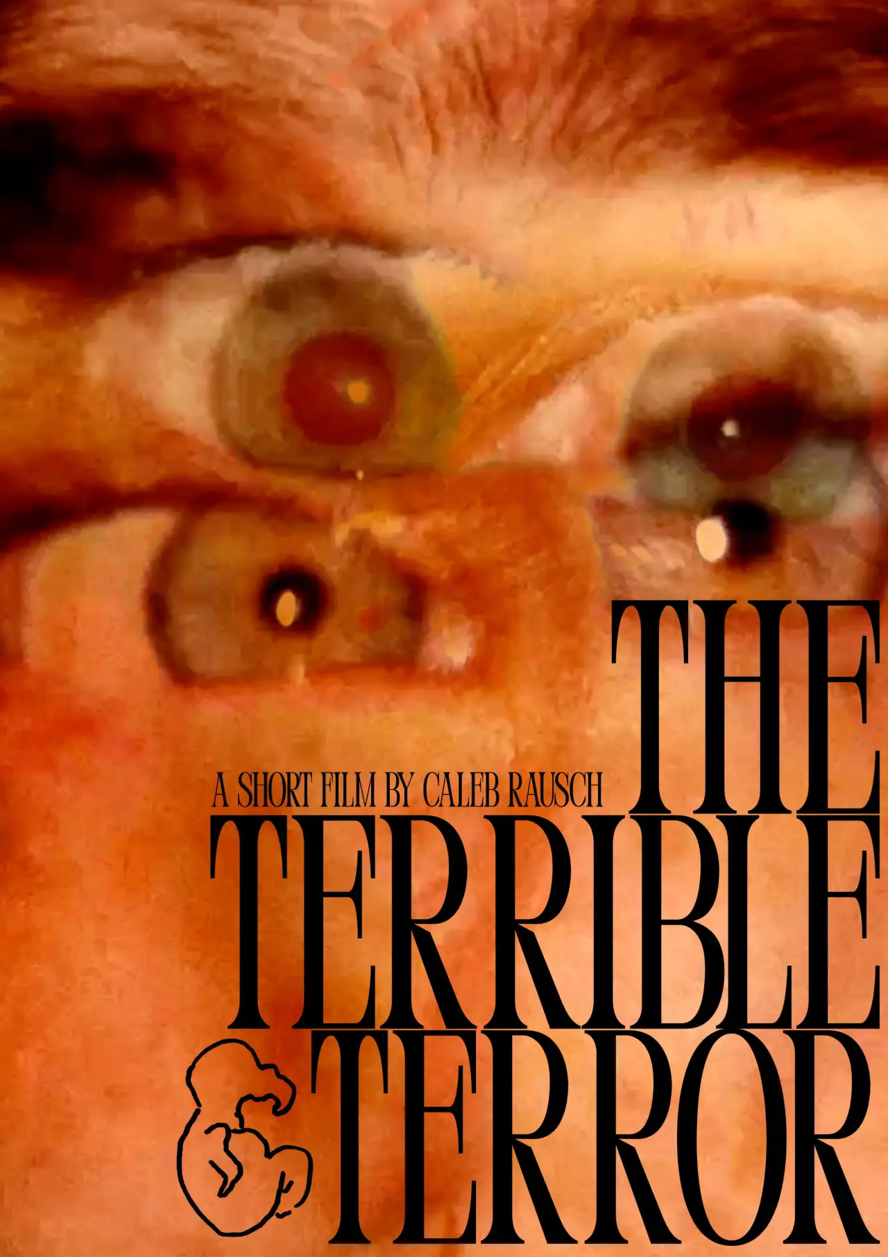Постер до фільму "The Terrible Terror"