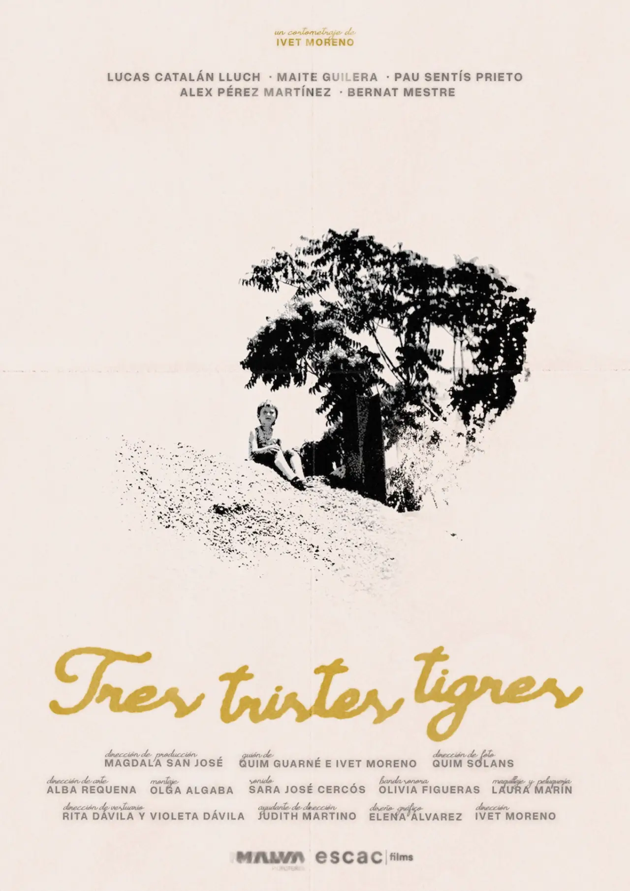 Постер до фільму "Three sad tigers"