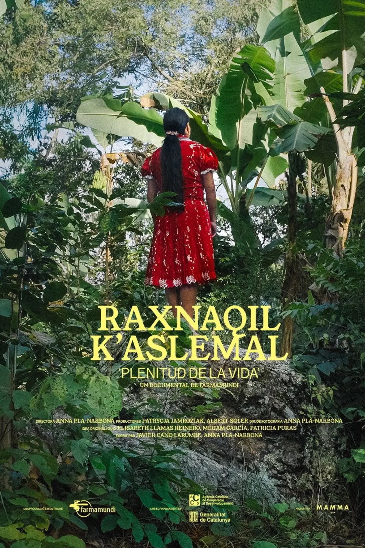 Постер до фільму "Raxnaquil K’Aslemal: Plenitud de la vida"