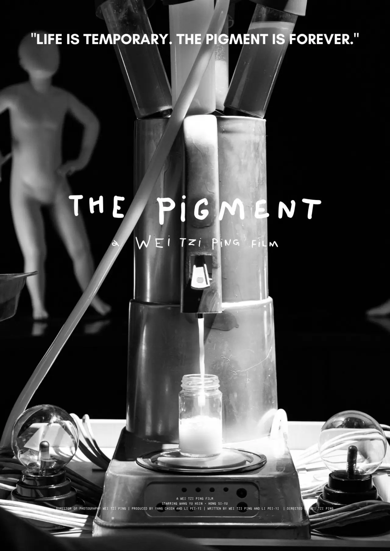 Постер до фільму "THE PIGMENT"