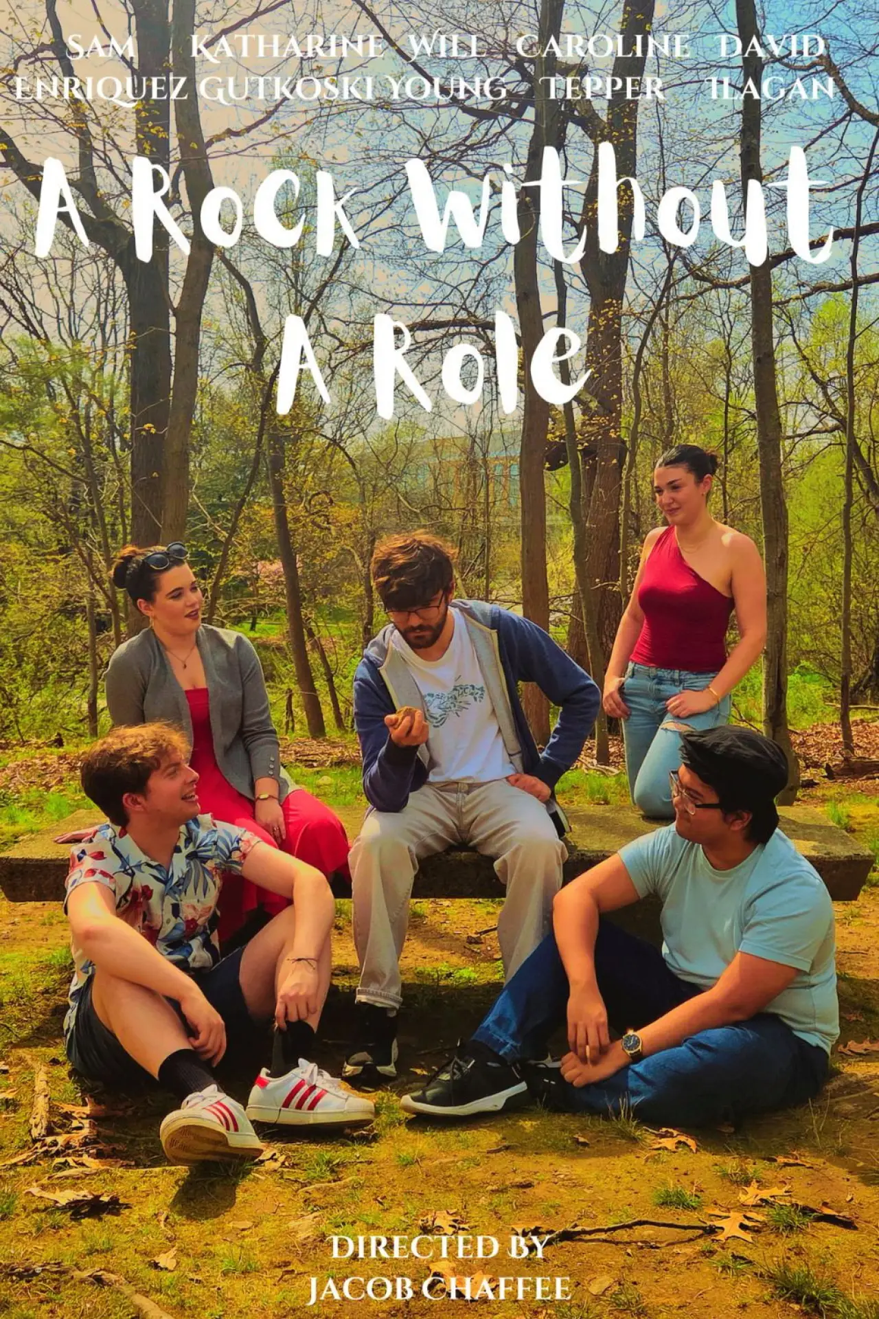 Постер до фільму "A Rock Without a Role"