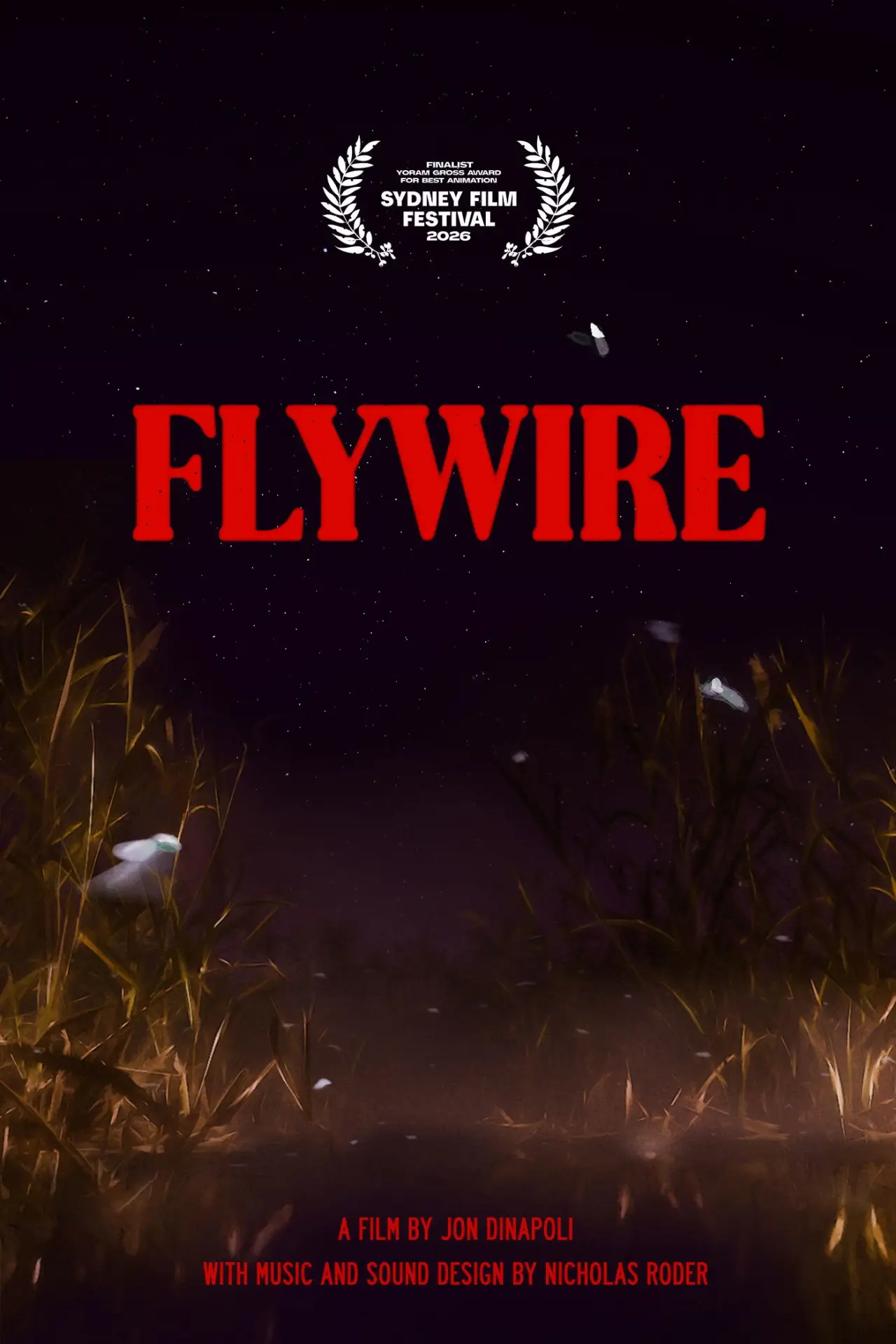 Постер до фільму "Flywire"