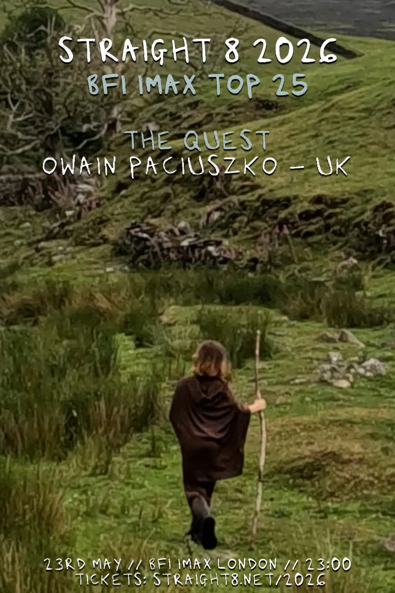 Постер до фільму "The Quest"