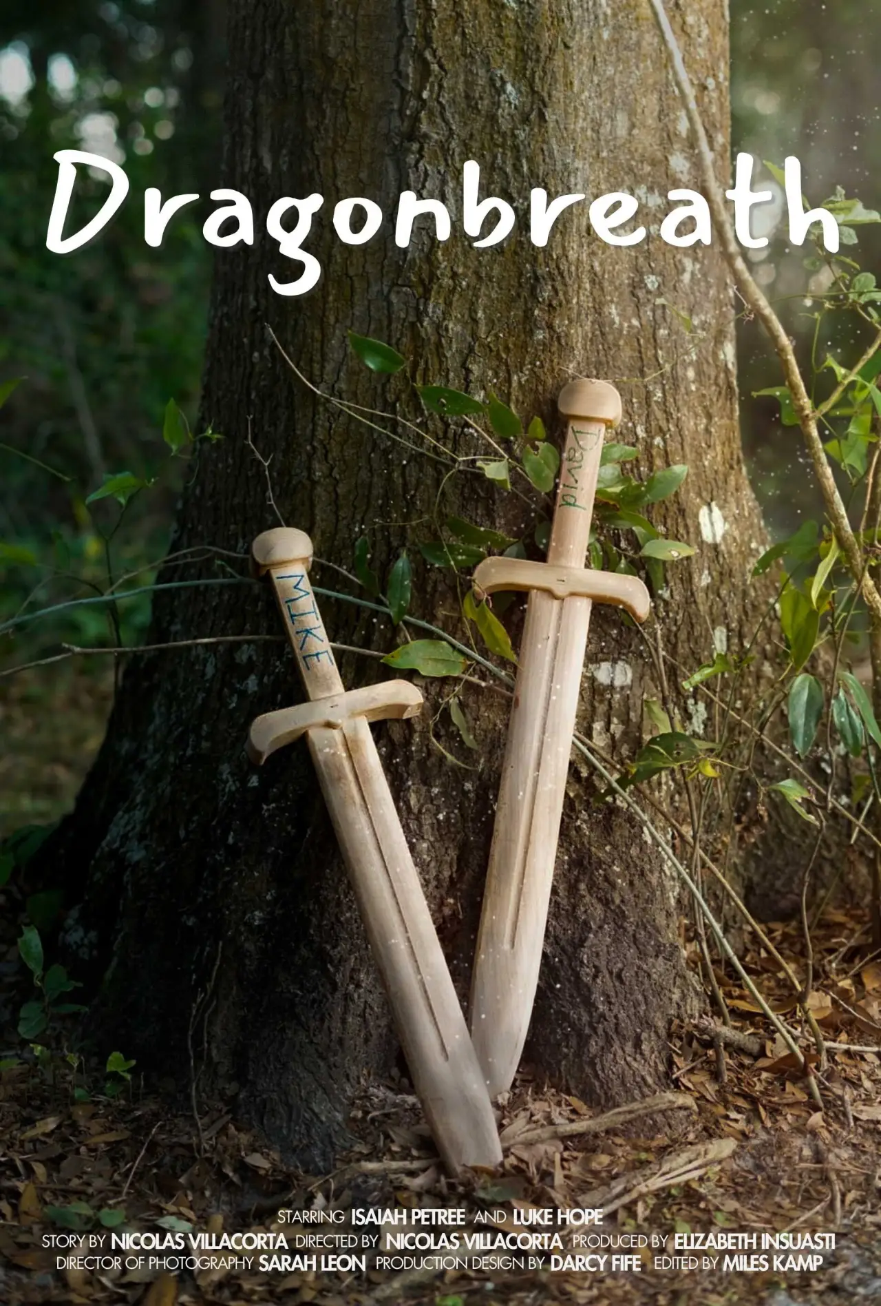 Постер до фільму "Dragonbreath"