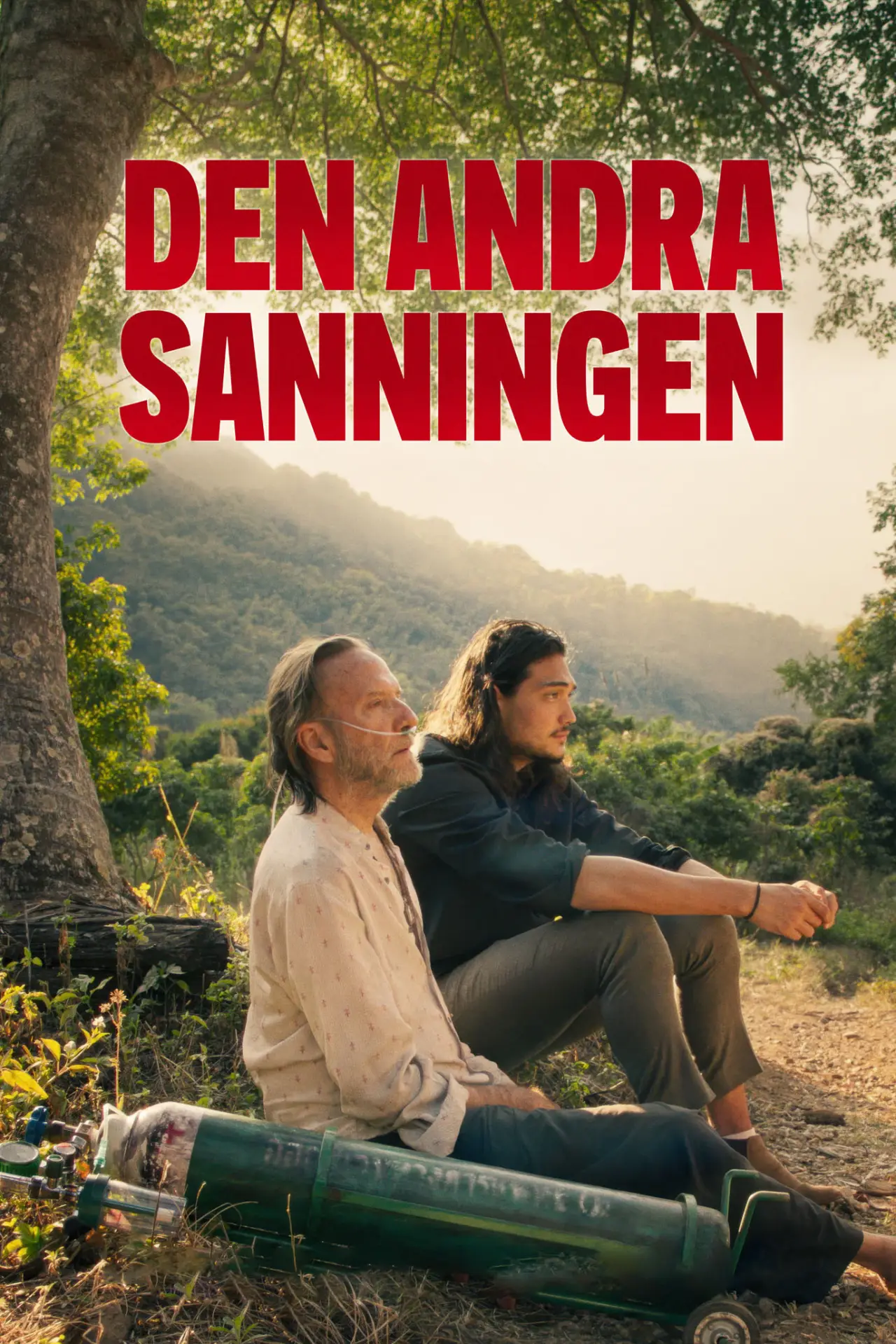 Постер до фільму "Den andra sanningen"