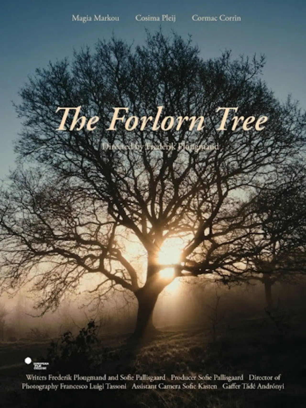 Постер до фільму "The Forlorn Tree"
