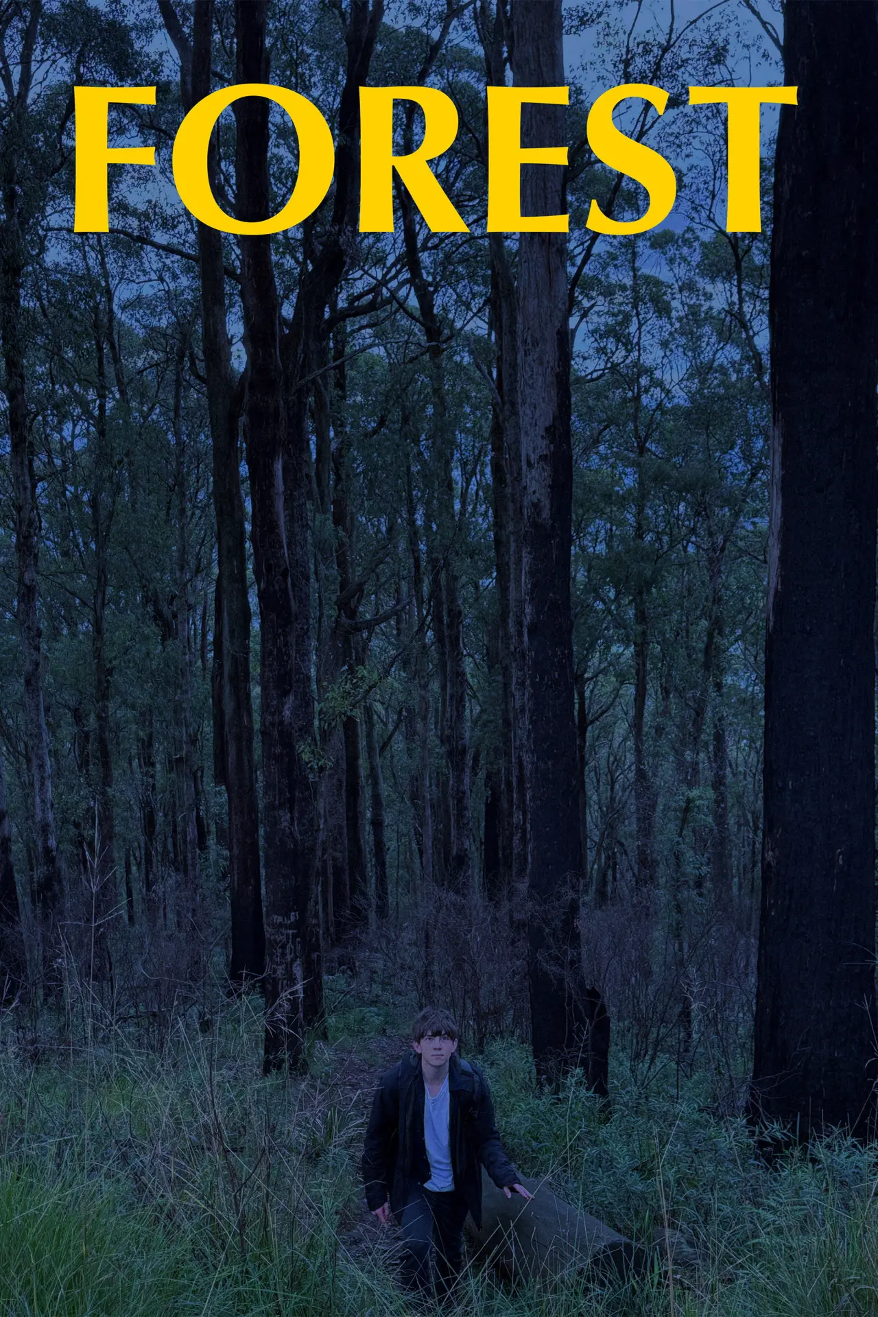Постер до фільму "FOREST"