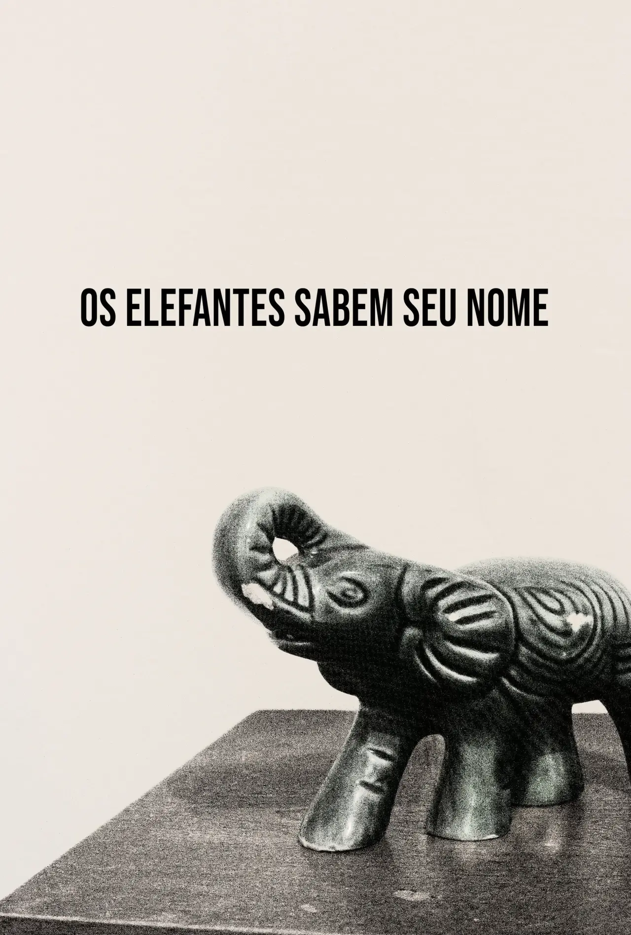 Постер до фільму "Os Elefantes Sabem Seu Nome"