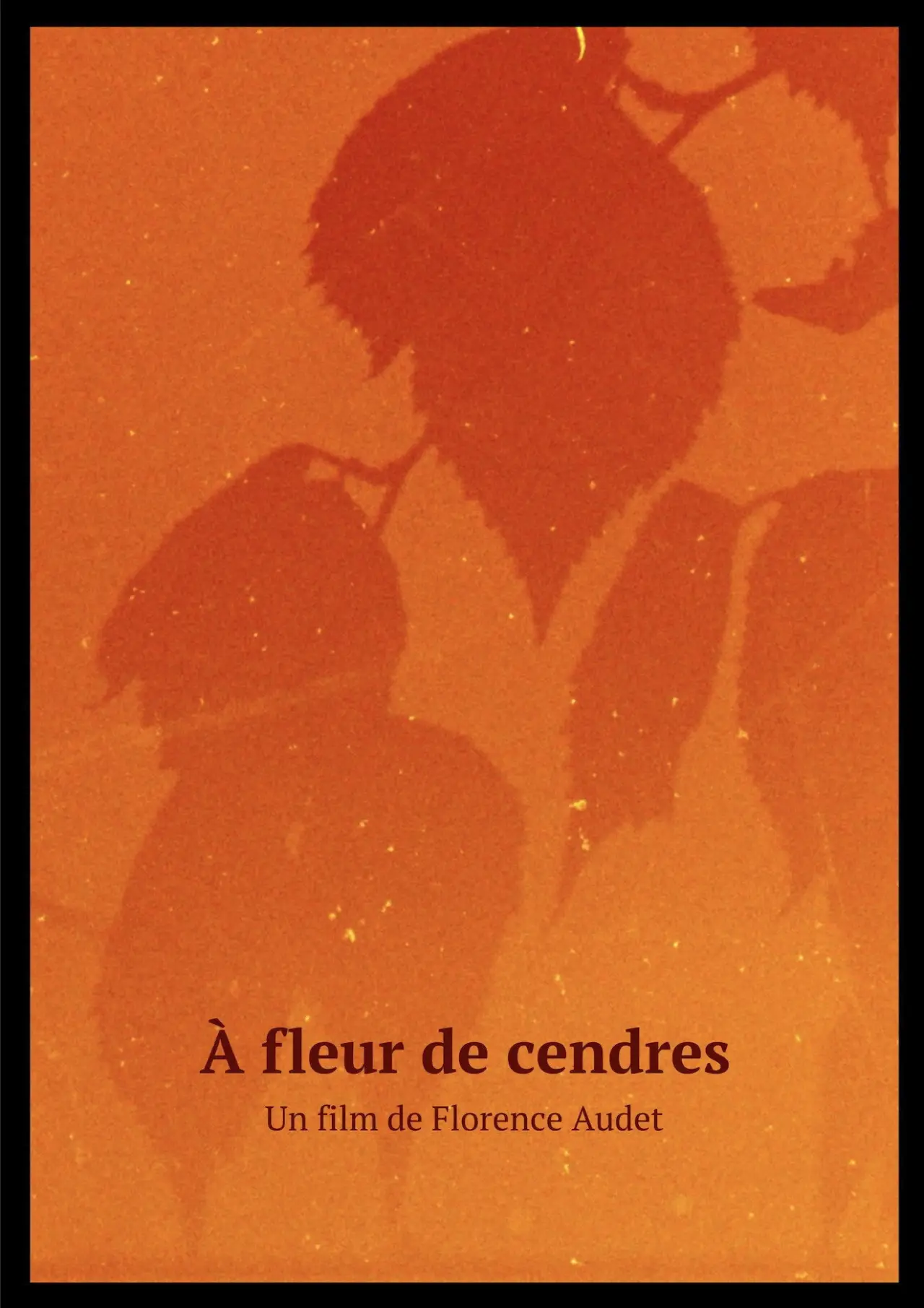 Постер до фільму "À fleur de cendres"