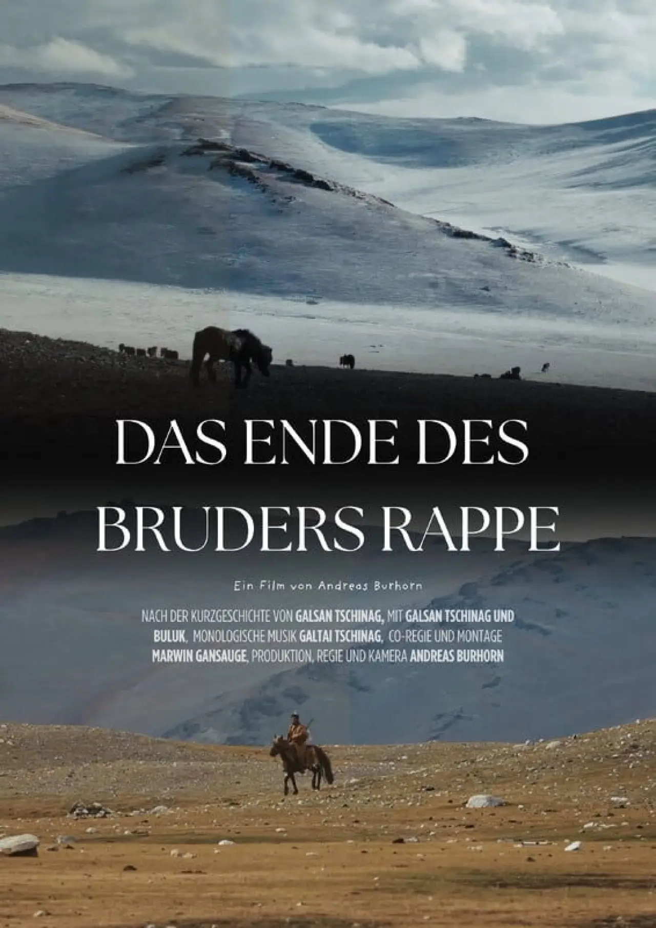 Постер до фільму "Das Ende des Bruders Rappe"