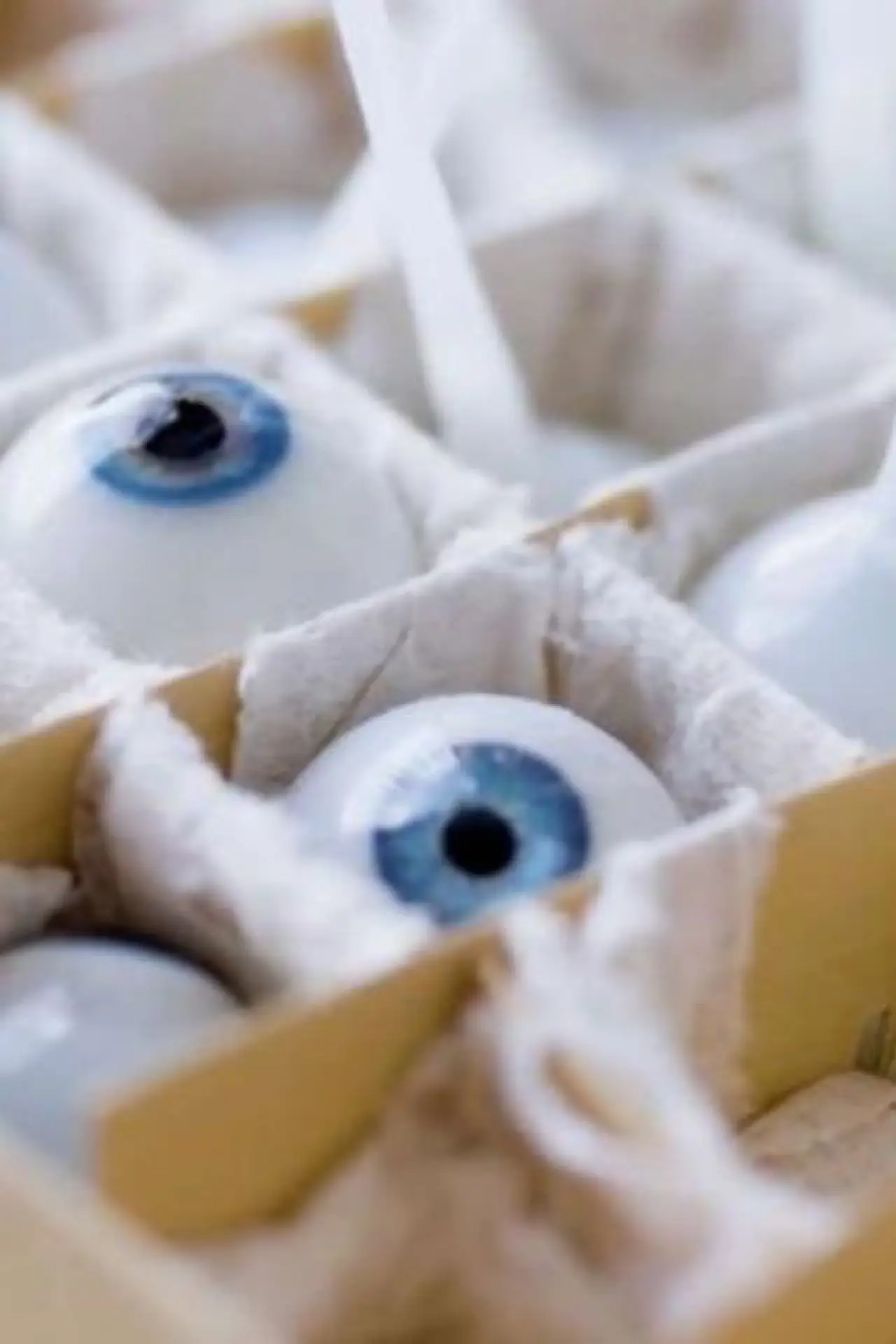 Постер до фільму "The Last Glass Eye Maker"
