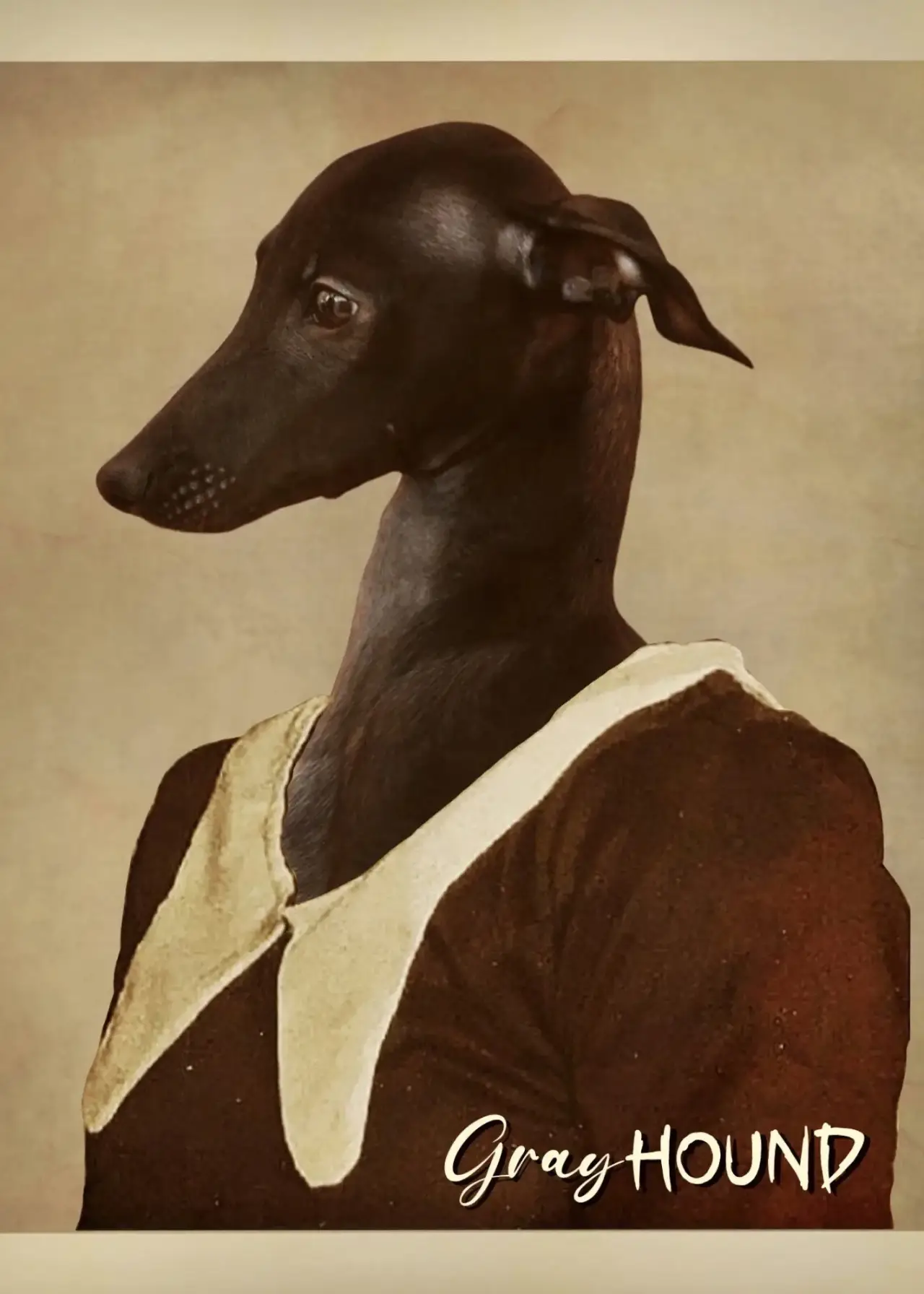 Постер до фільму "Gray Hound"