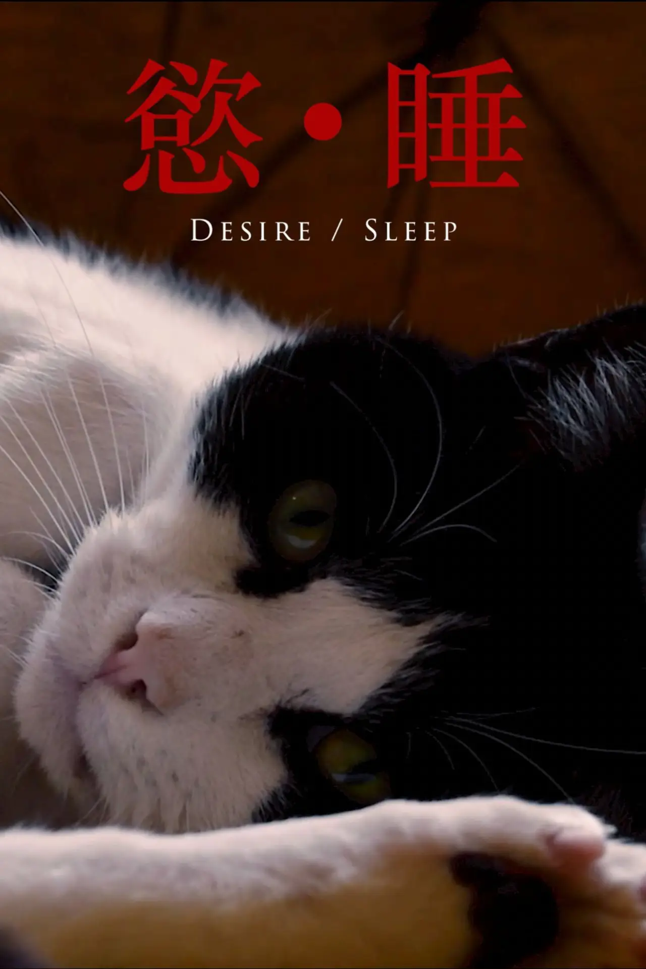 Постер до фільму "Desire/Sleep"