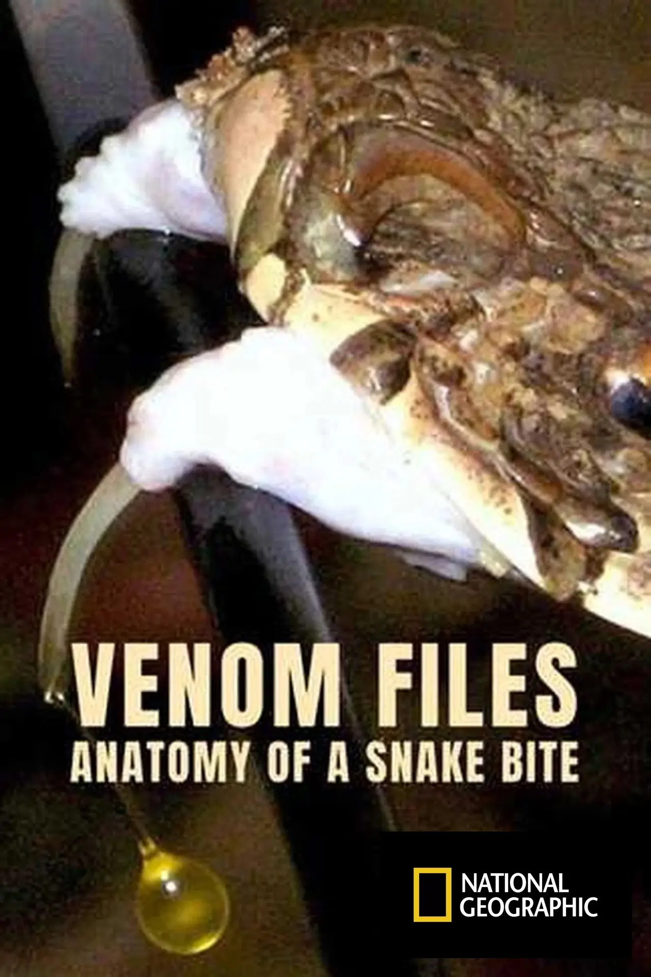 Постер до фільму "Venom File - Anatomy of a snake bite"