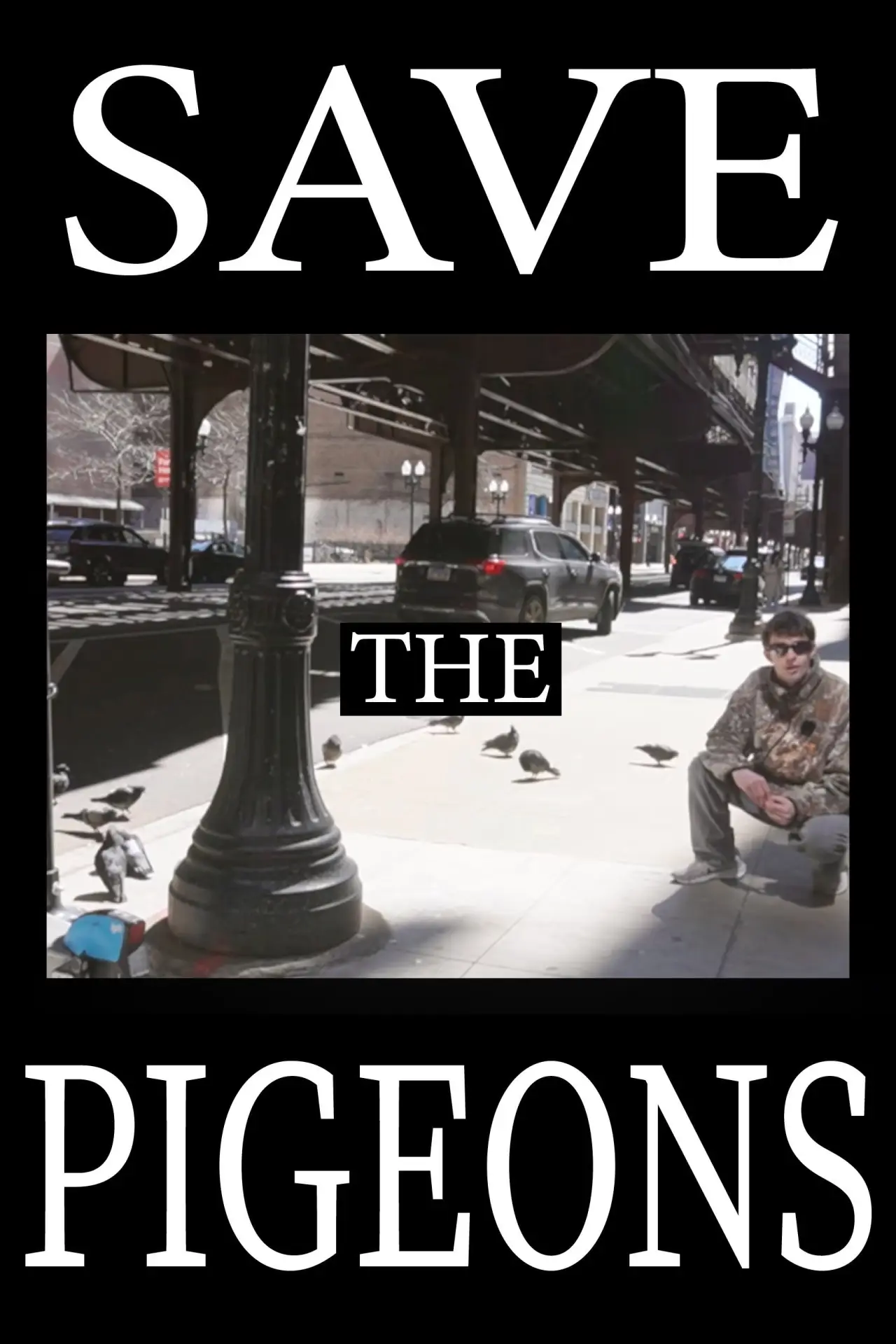 Постер до фільму "Save the Pigeons"
