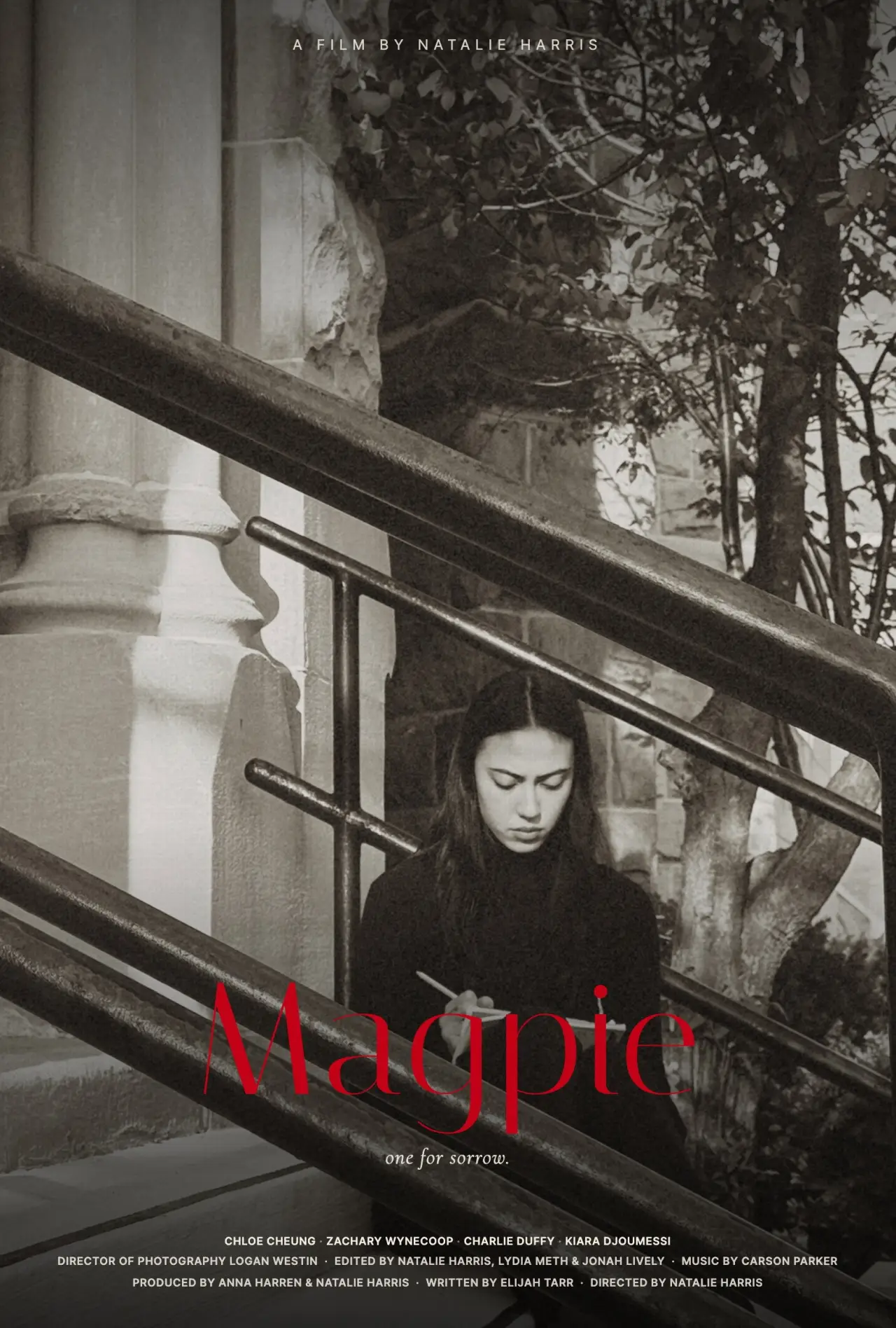 Постер до фільму "Magpie"