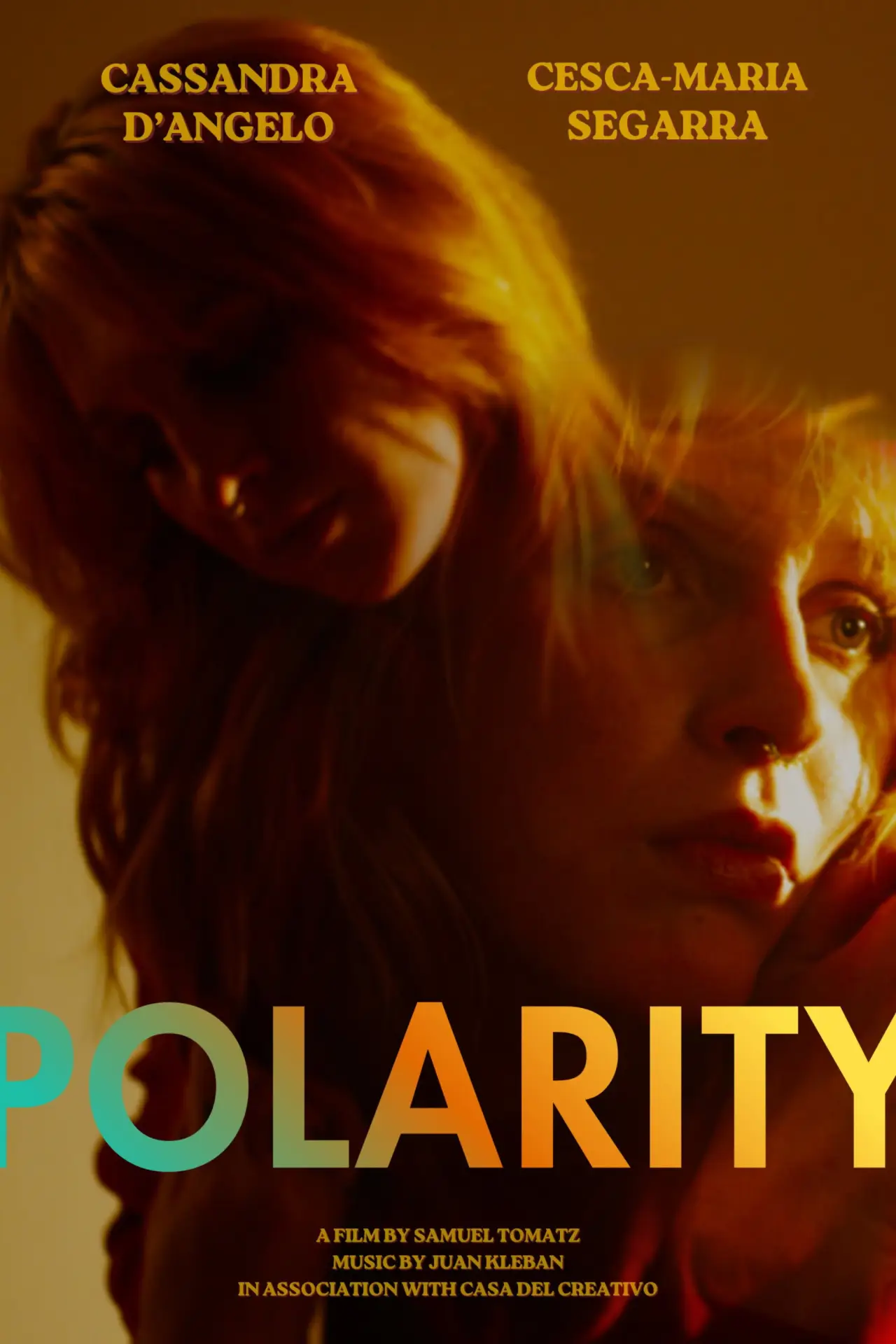 Постер до фільму "Polarity"