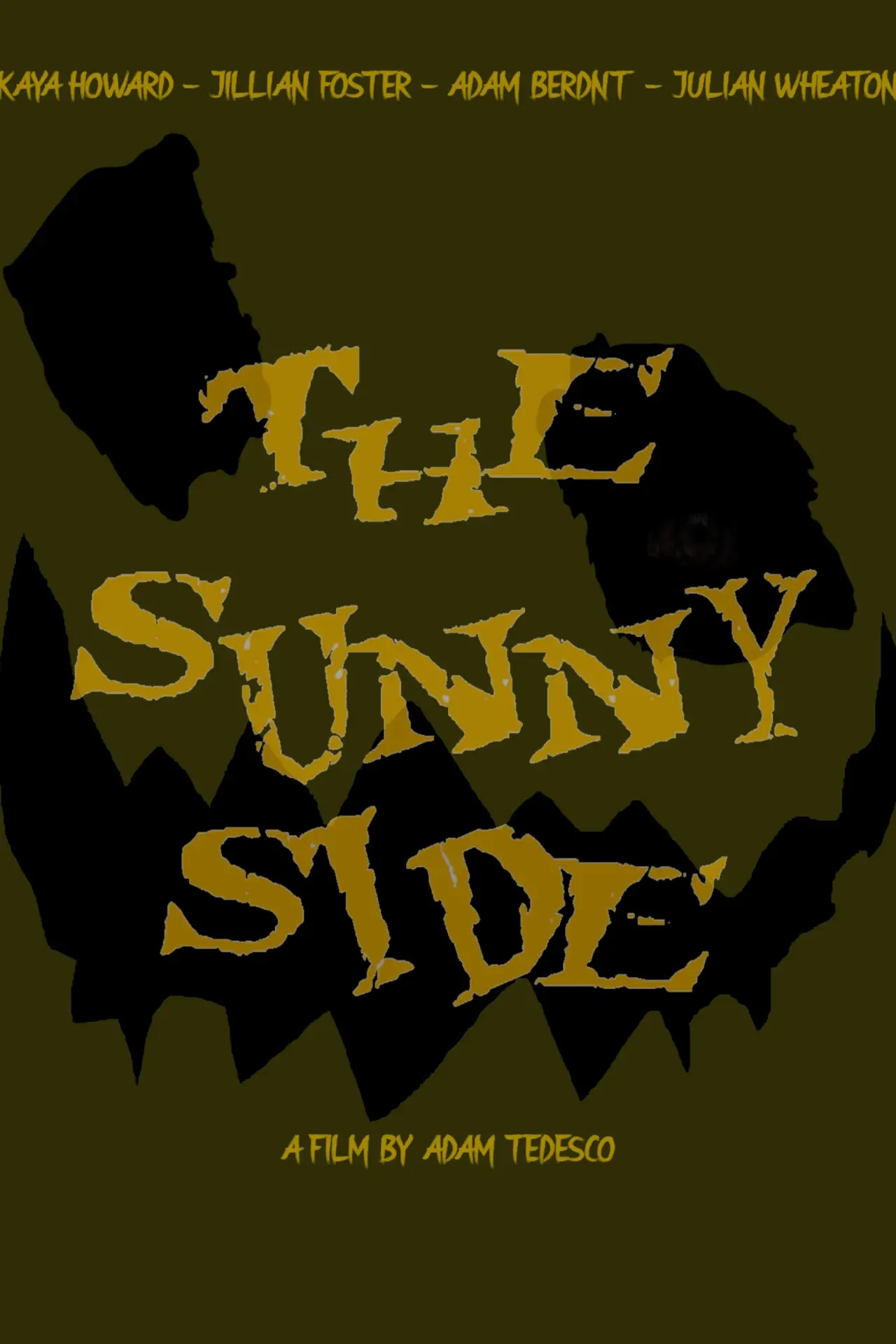 Постер до фільму "The Sunny Side"