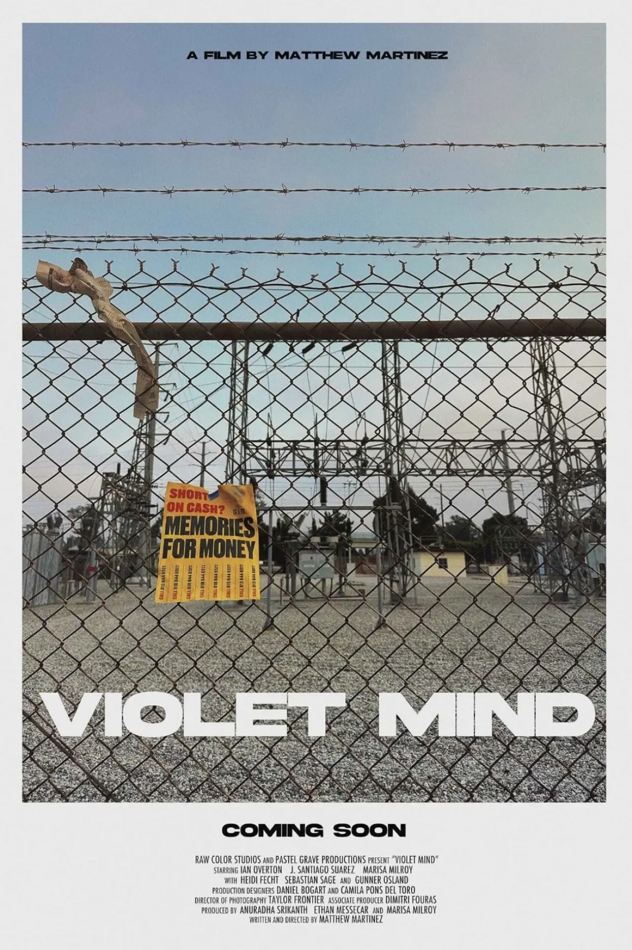 Постер до фільму "Violent Mind"