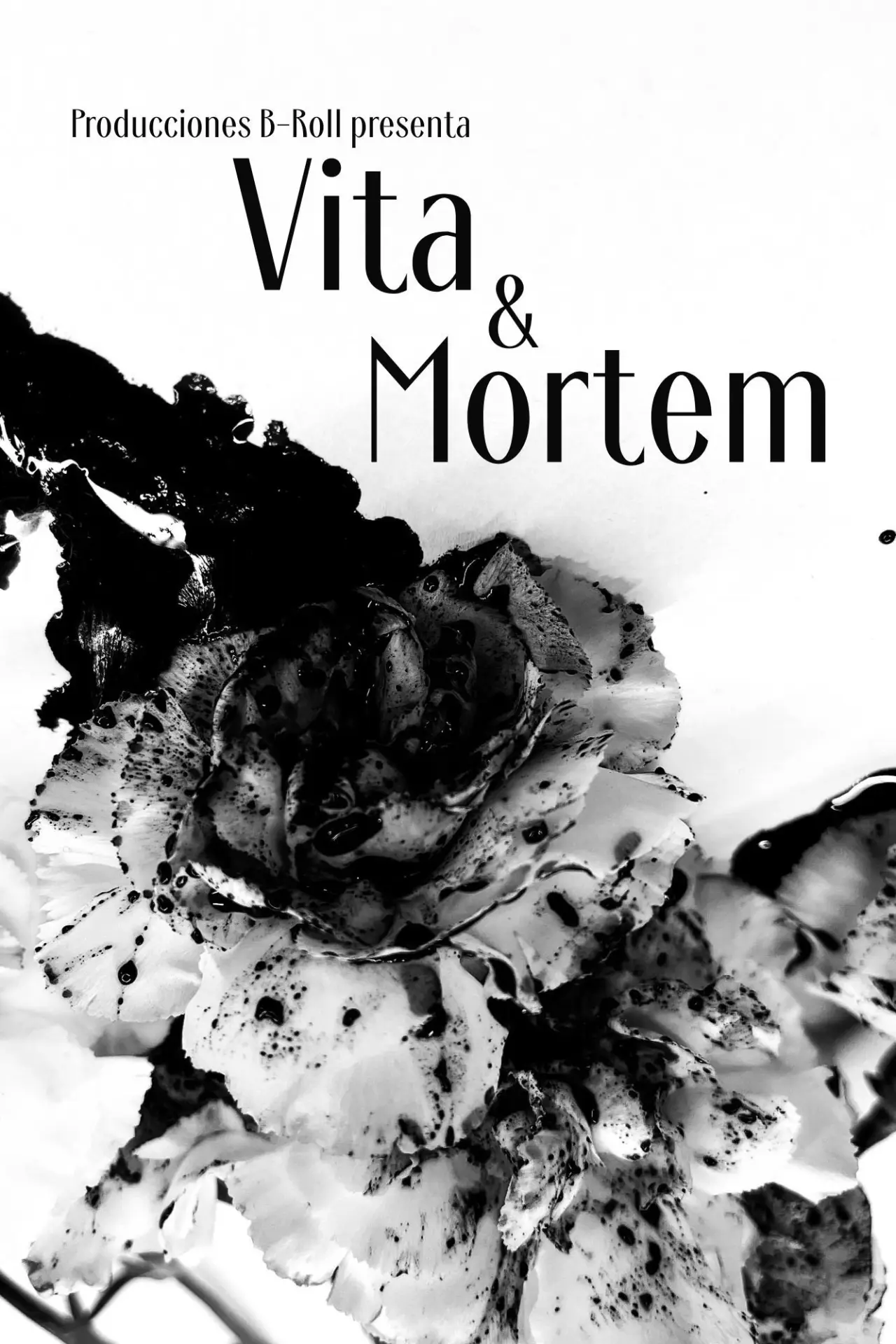 Постер до фільму "Vita & Mortem"