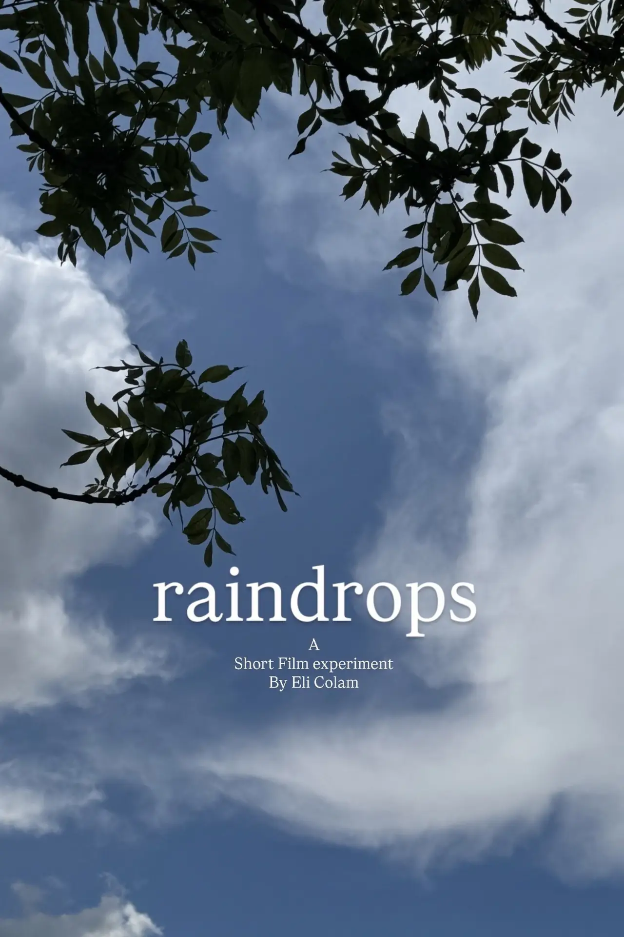 Постер до фільму "raindrops"