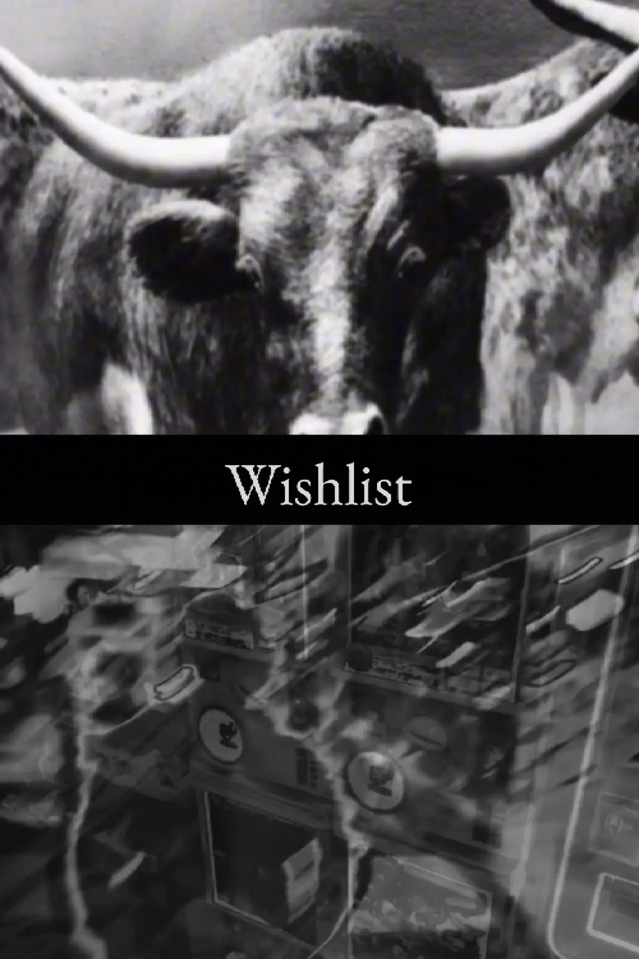 Постер до фільму "Wishlist"