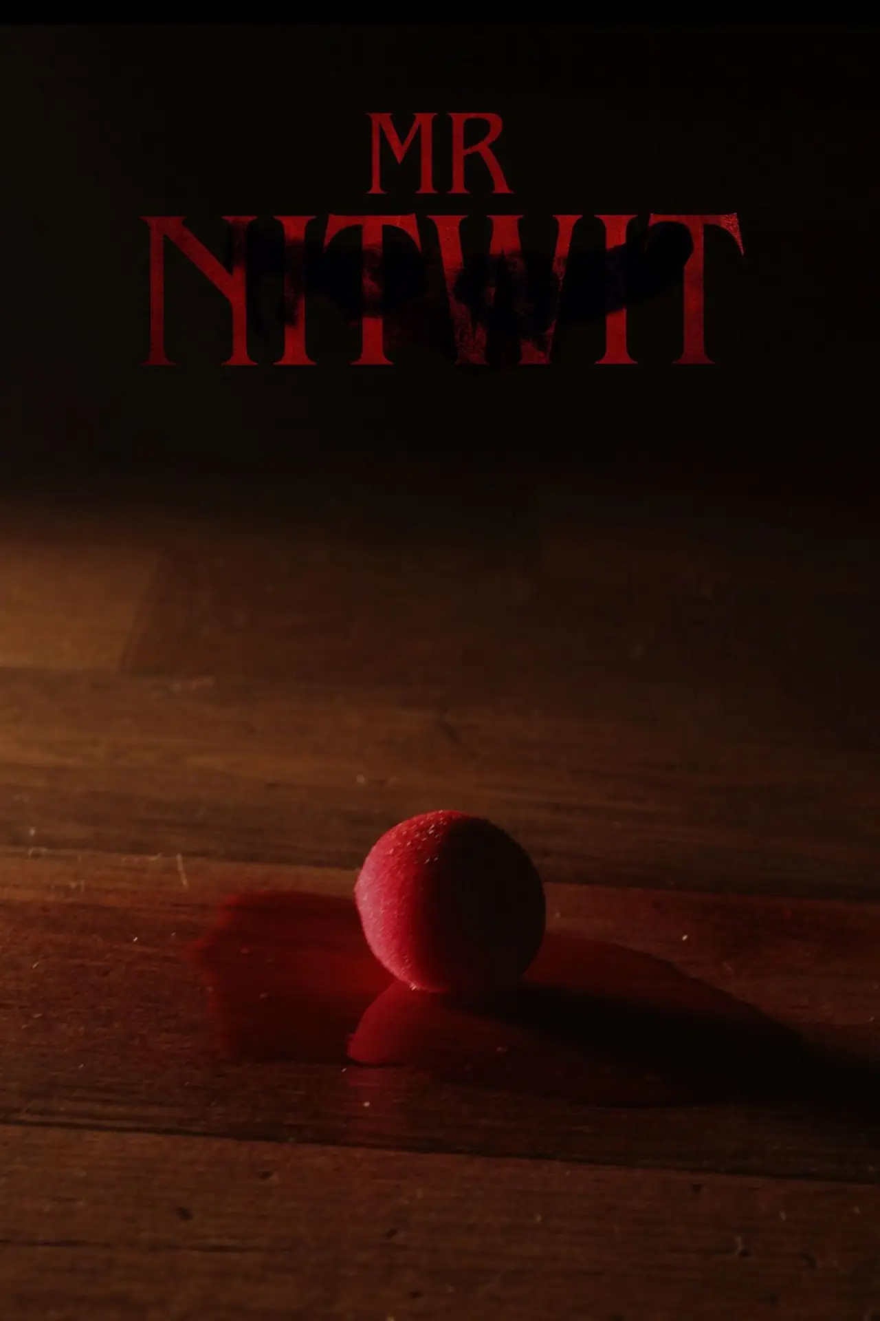 Постер до фільму "Mr Nitwit"