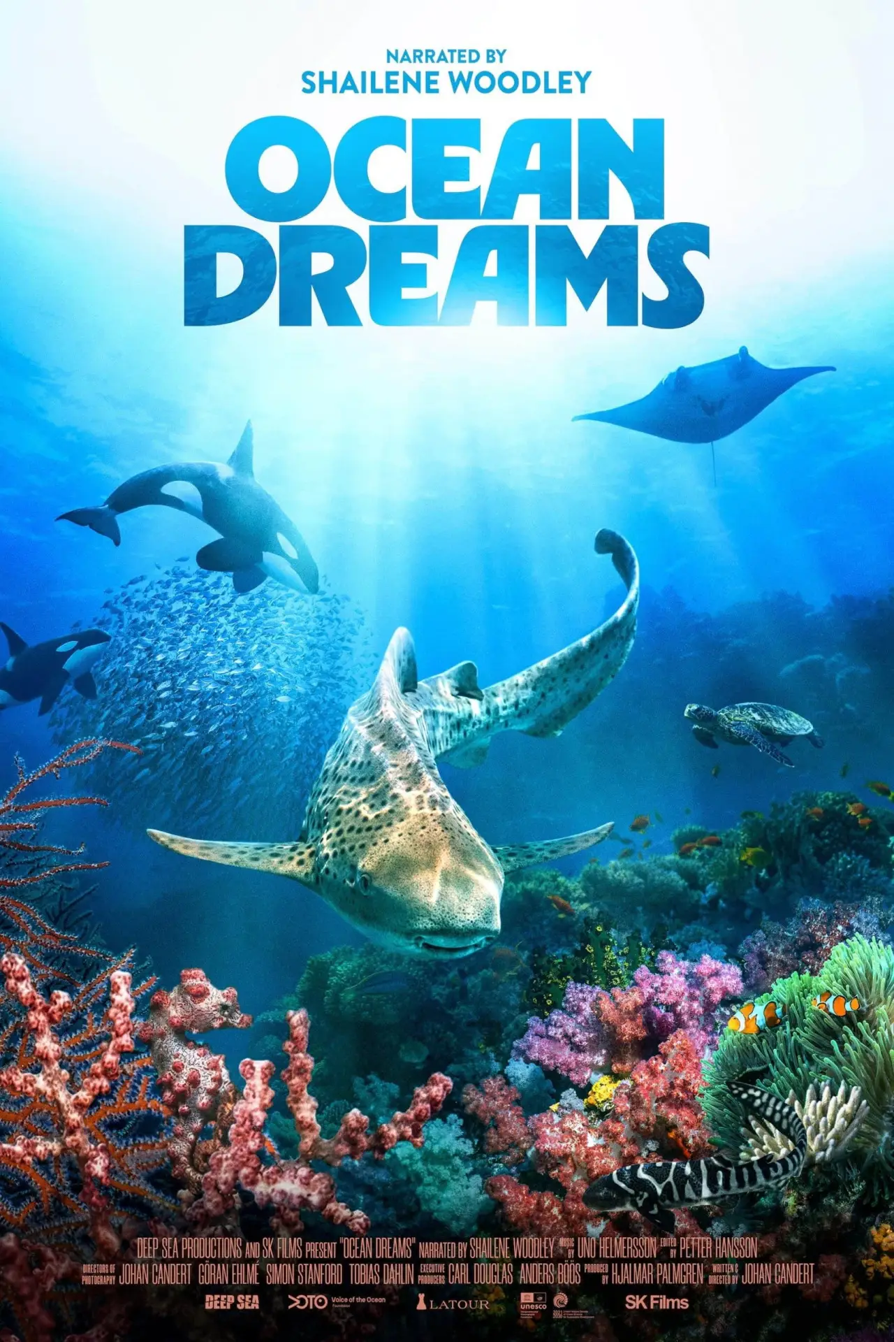 Постер до фільму "Ocean Dreams"