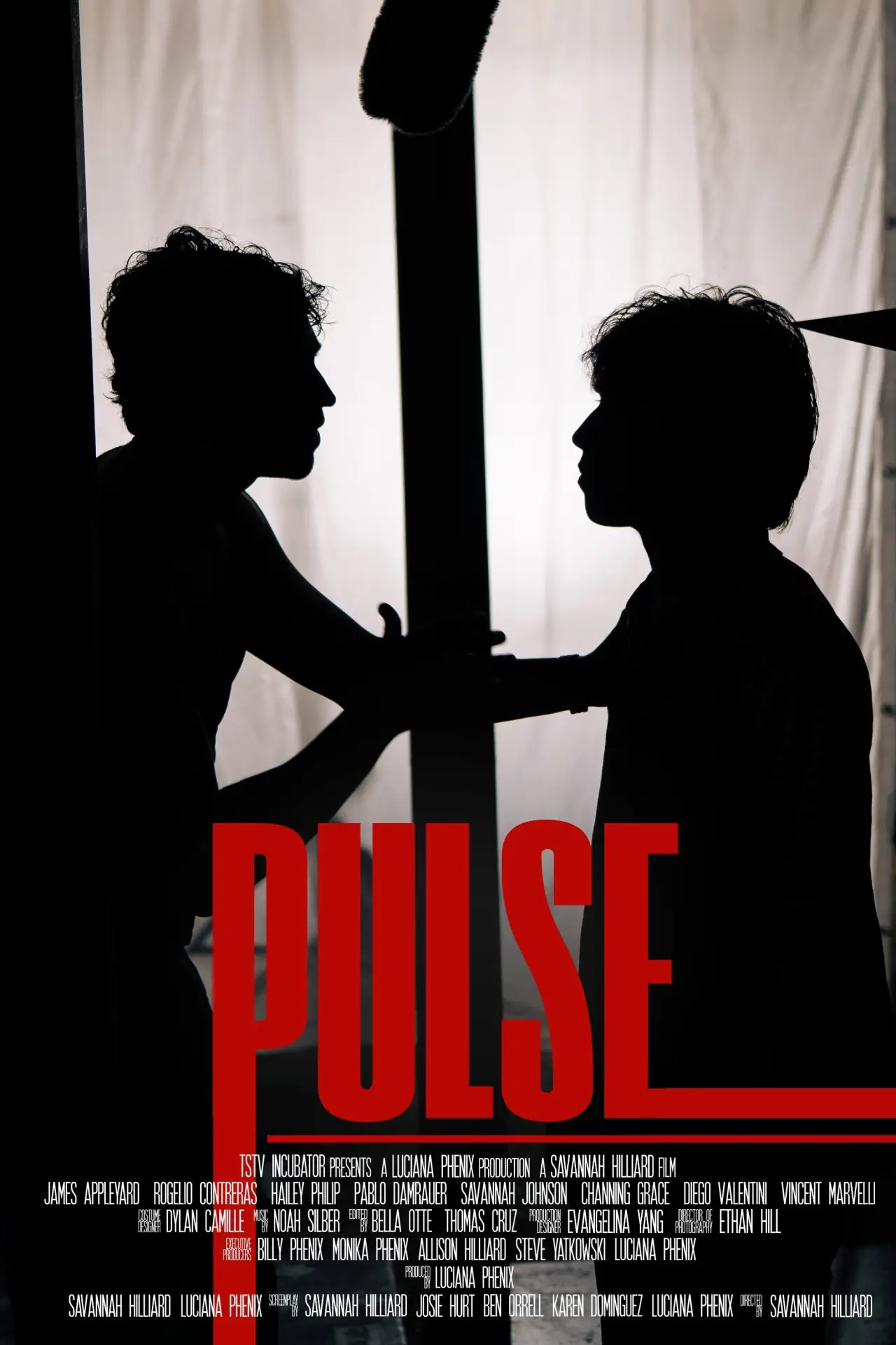 Постер до фільму "PULSE"