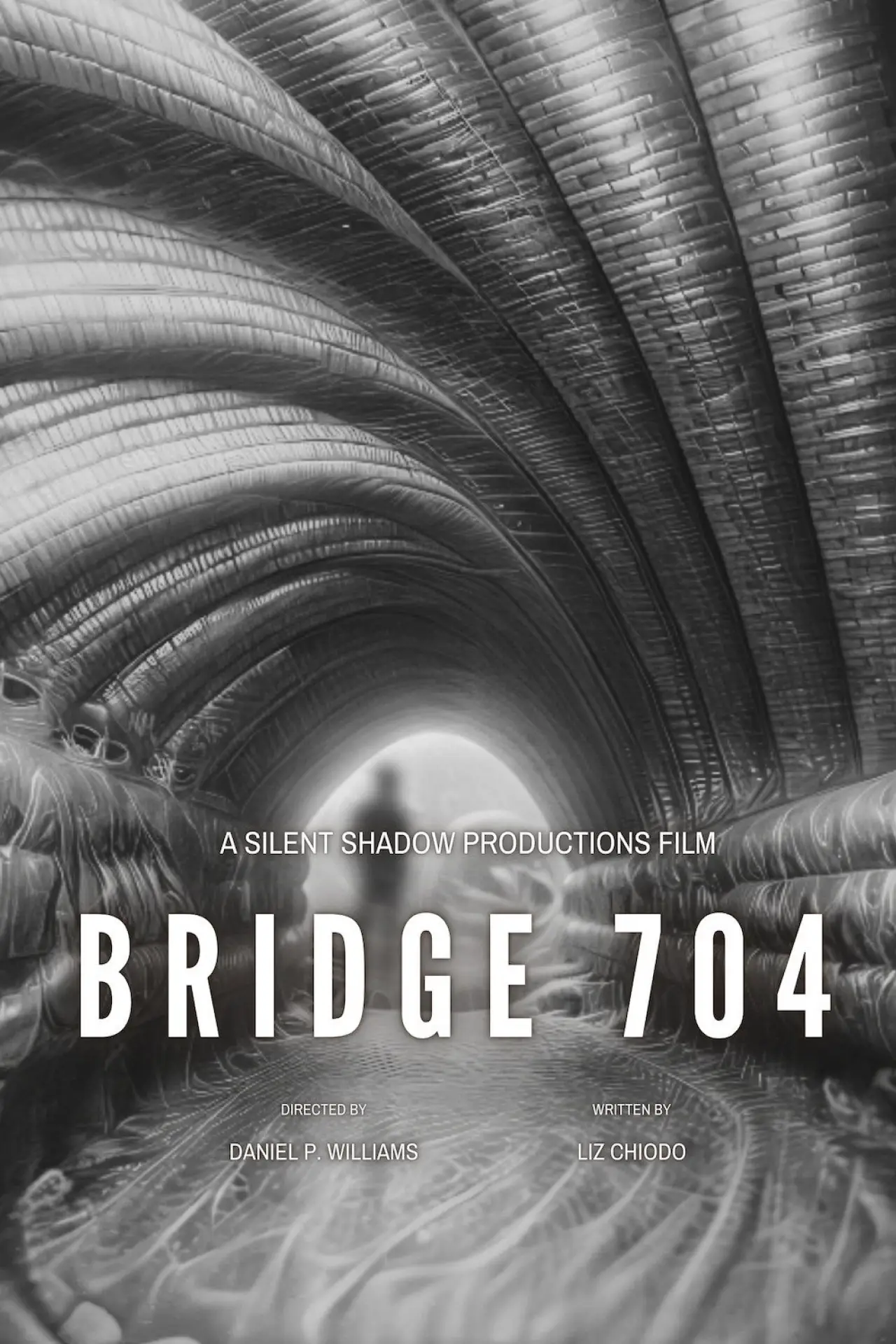 Постер до фільму "Bridge 704"