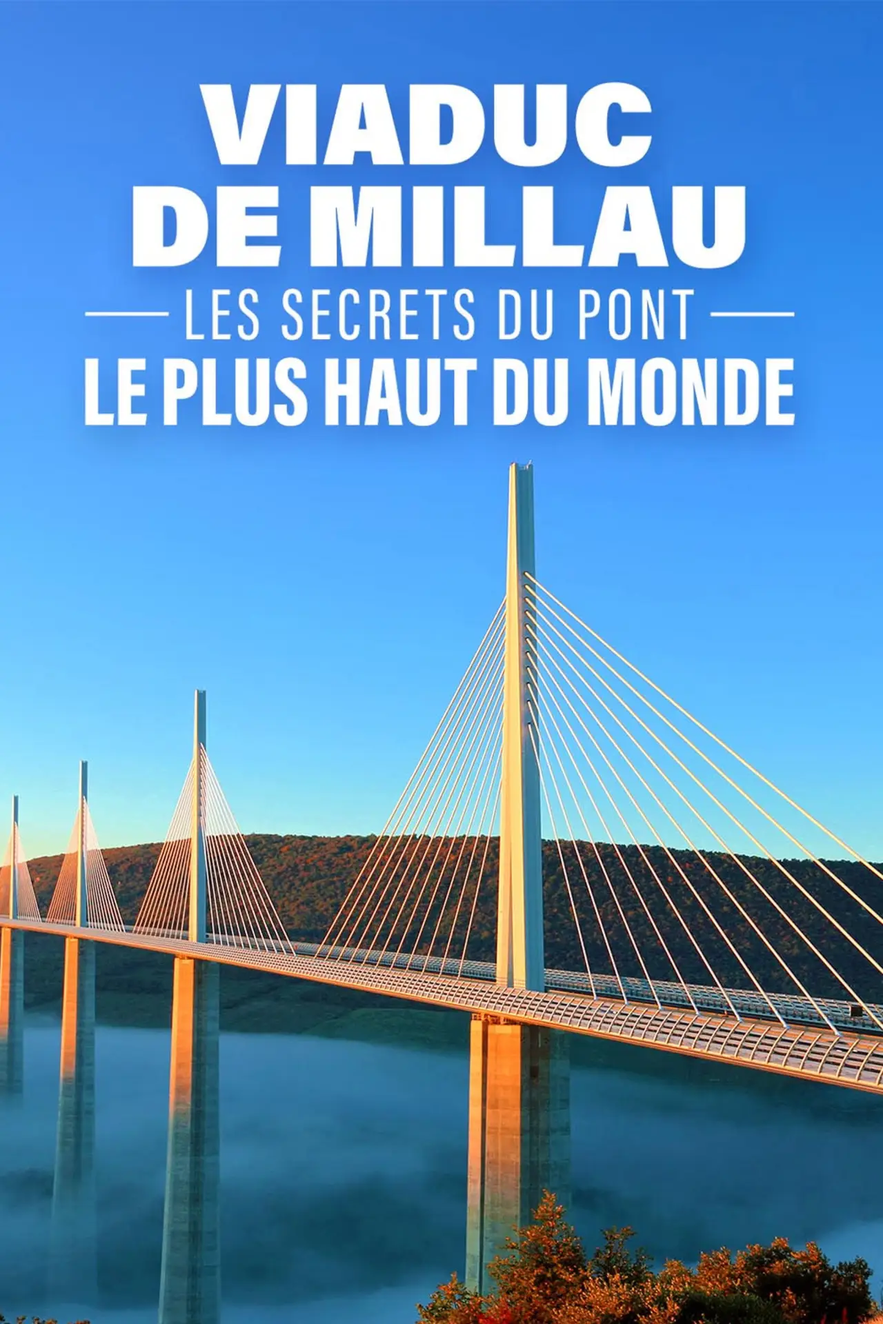 Постер до фільму "Viaduc de Millau les secrets du pont le plus haut du monde"